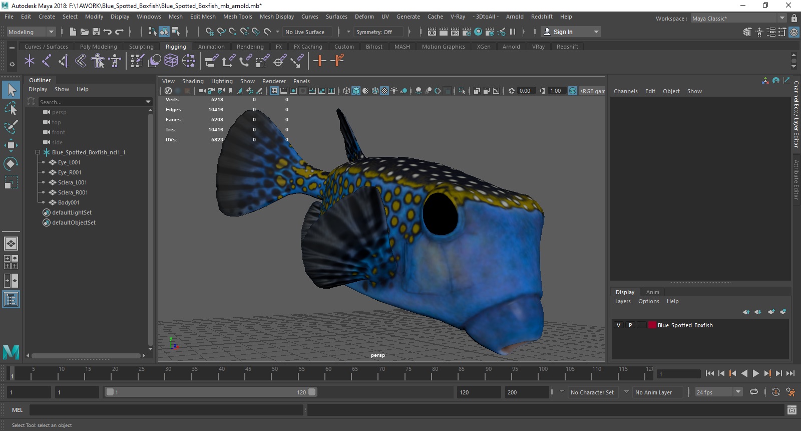 3D model Blue Spotted Boxfish