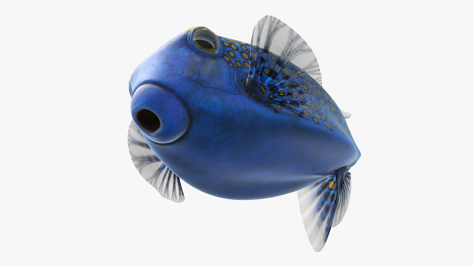 3D model Blue Spotted Boxfish