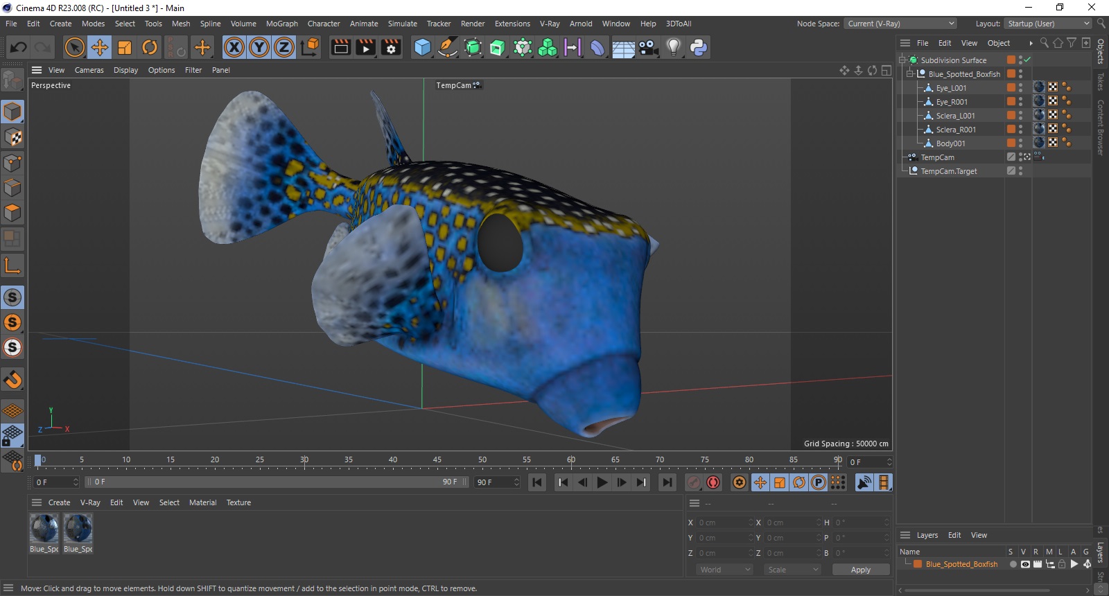 3D model Blue Spotted Boxfish