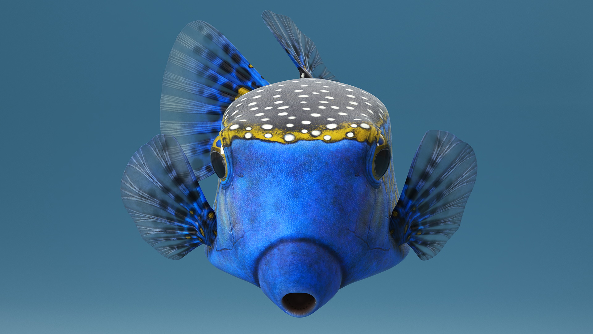 3D model Blue Spotted Boxfish
