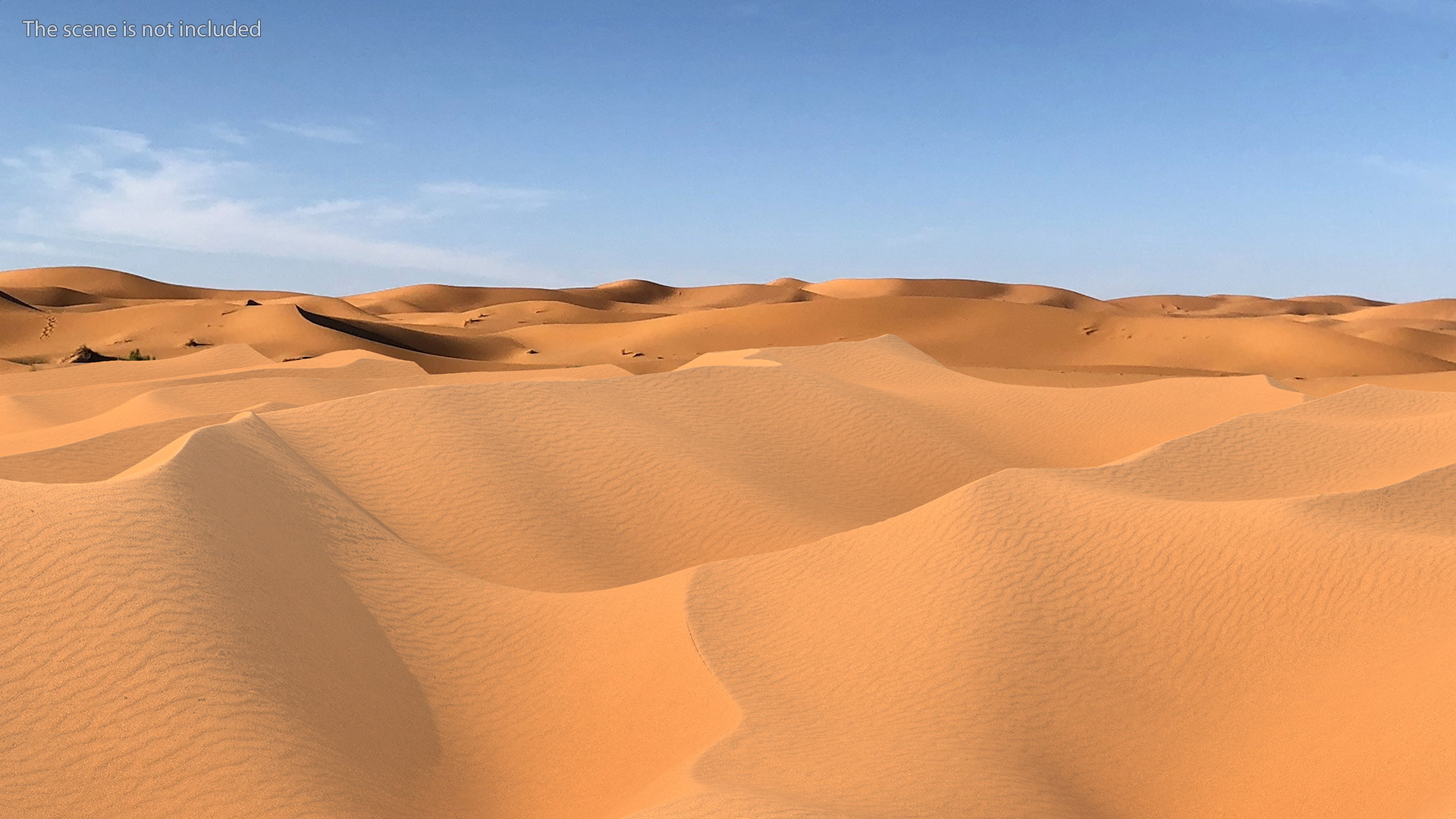 3D Desert Sahara model