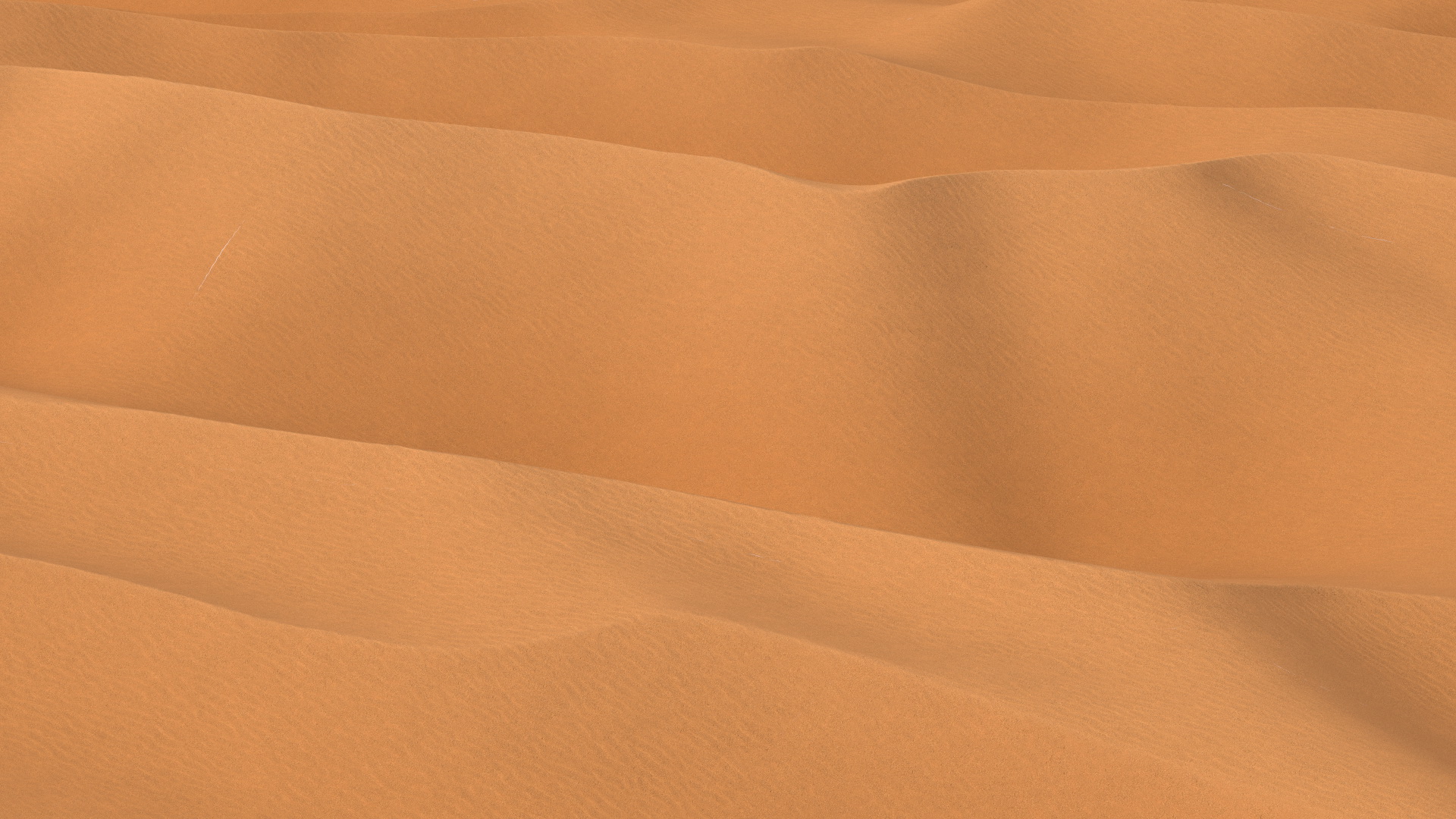 3D Desert Sahara model