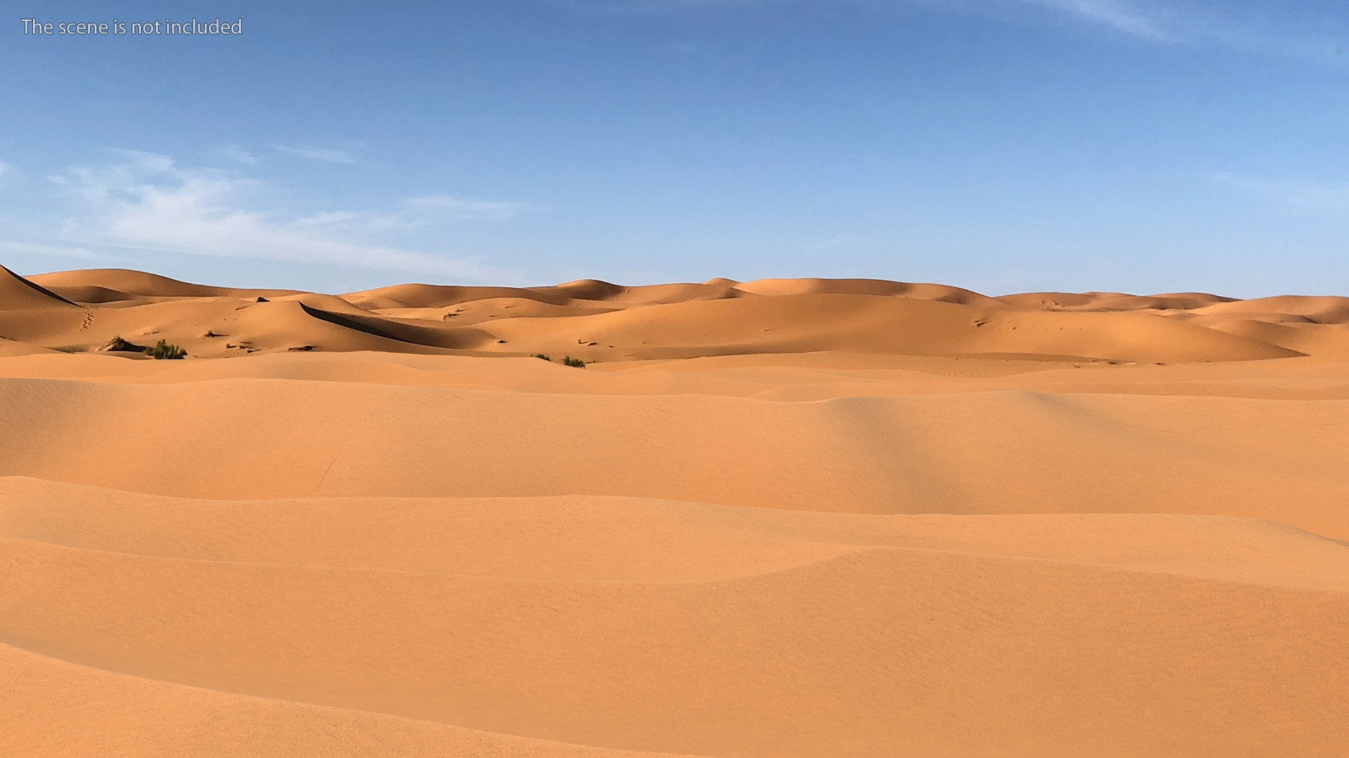 3D Desert Sahara model