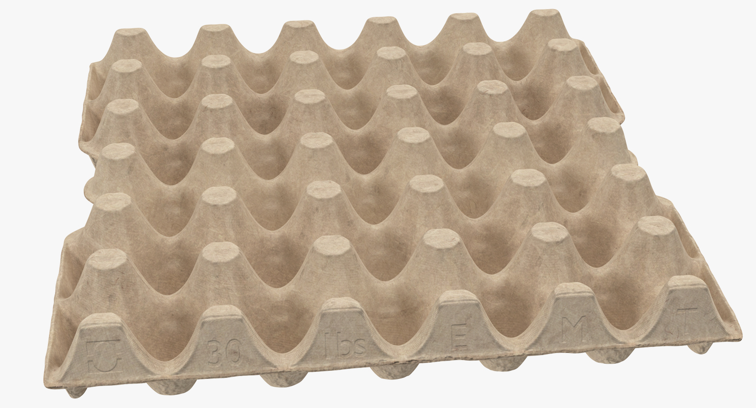 30 Cells Eggs Cardboard Empty 3D model