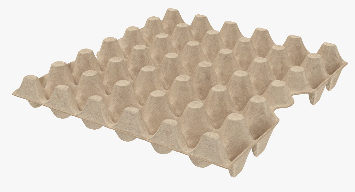 30 Cells Eggs Cardboard Empty 3D model