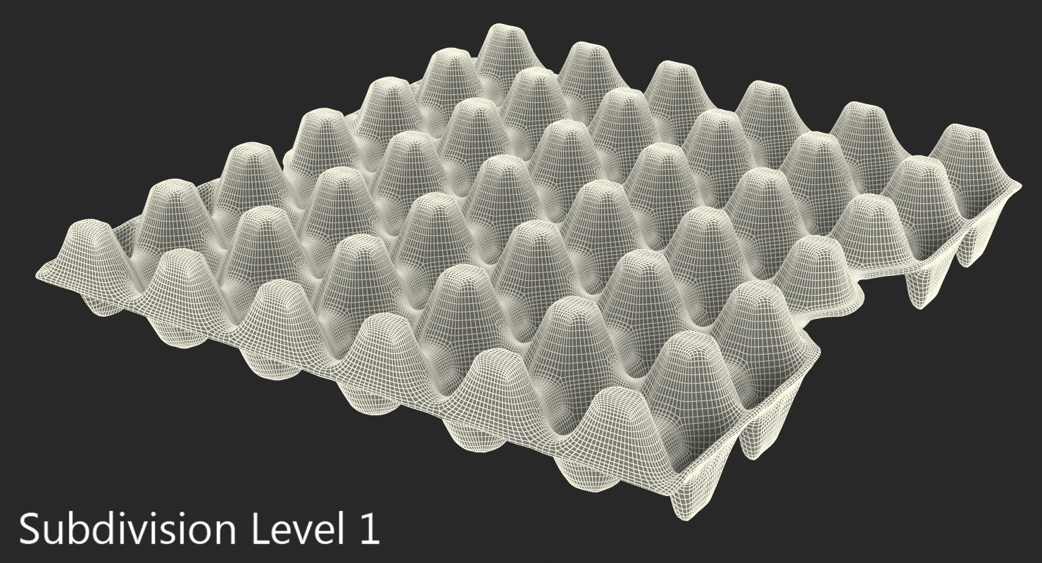 30 Cells Eggs Cardboard Empty 3D model