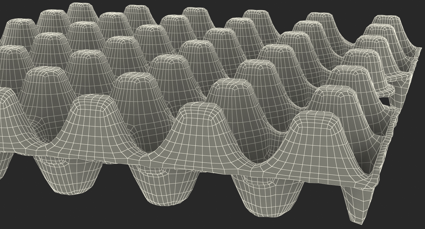 30 Cells Eggs Cardboard Empty 3D model