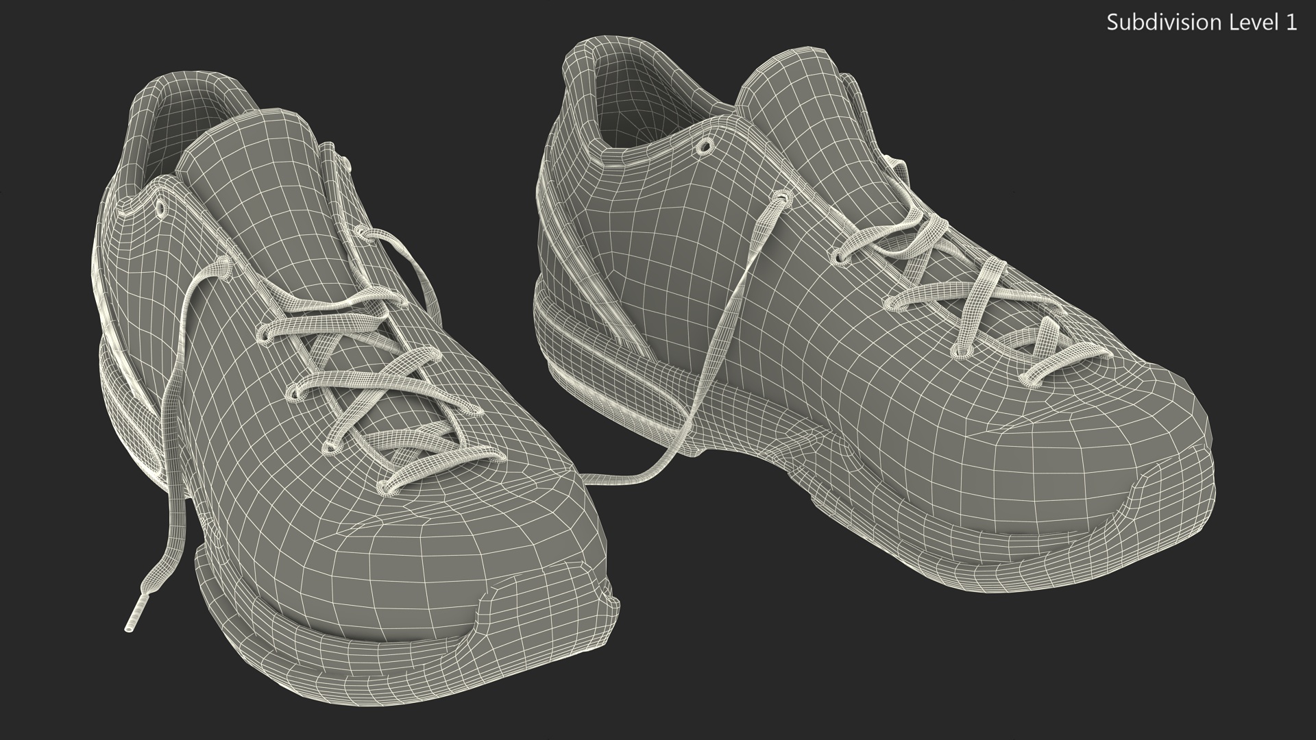 Footwear Nike Zoom Black 3D model