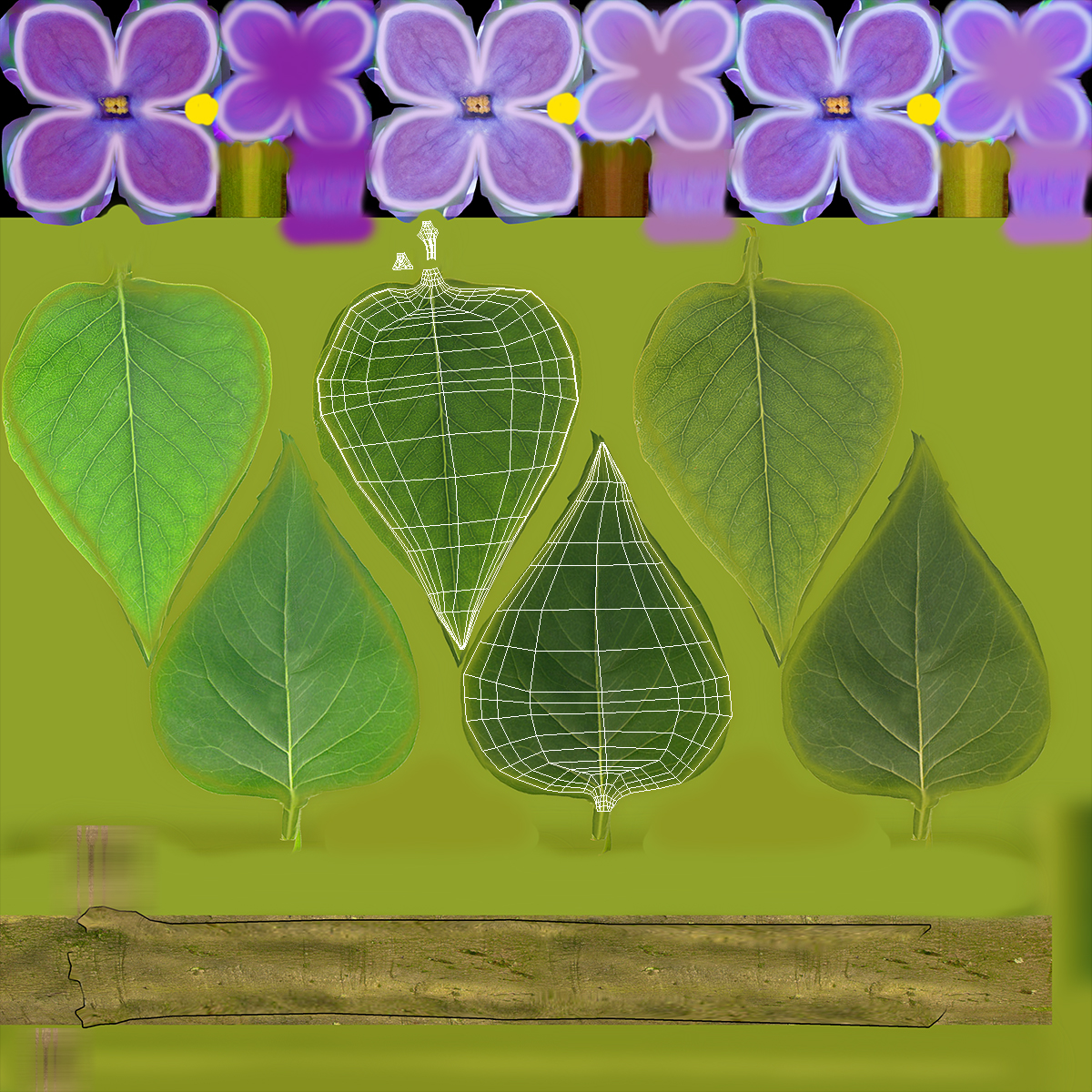 3D model Realistic Green Leaf