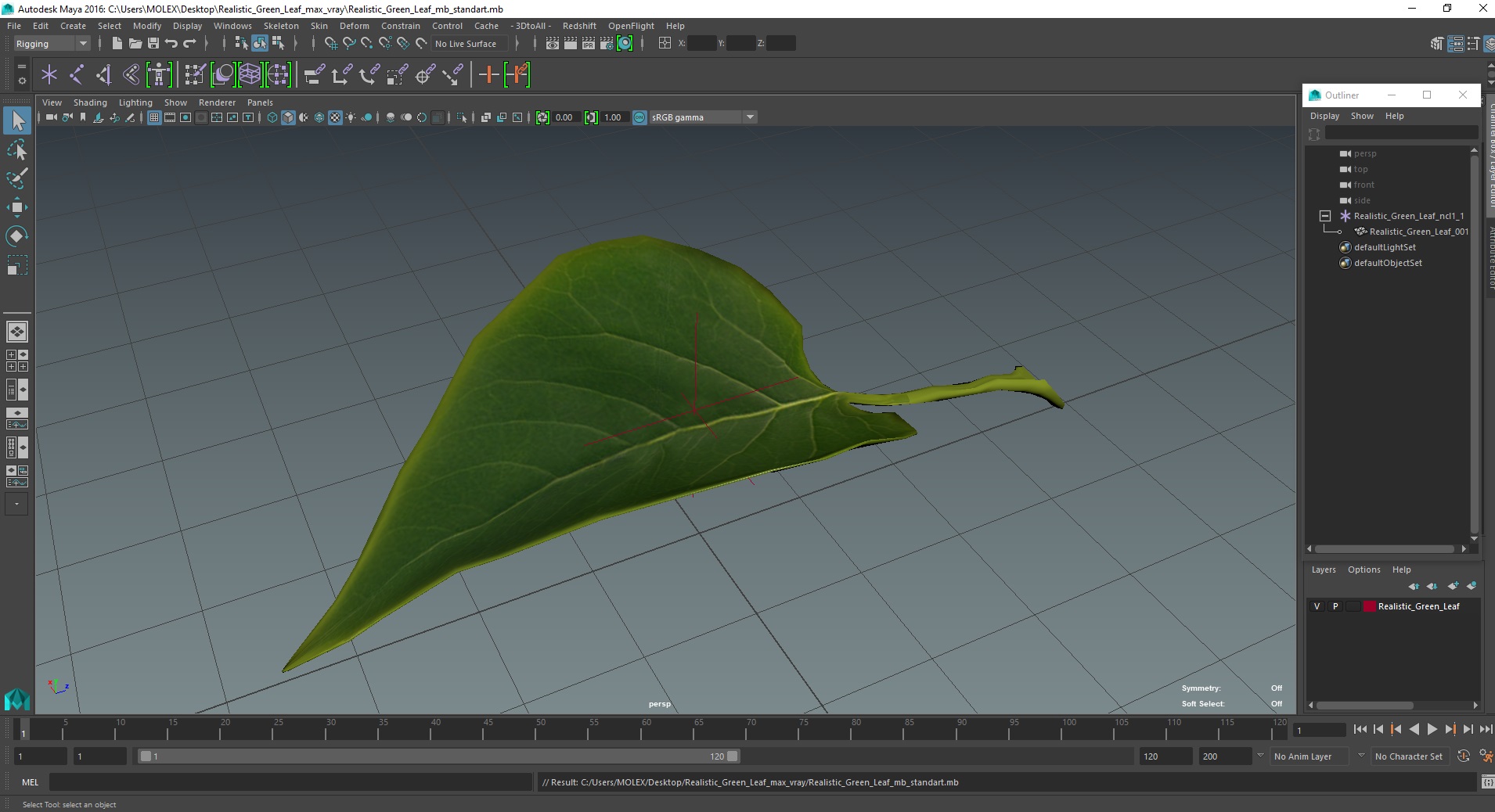 3D model Realistic Green Leaf