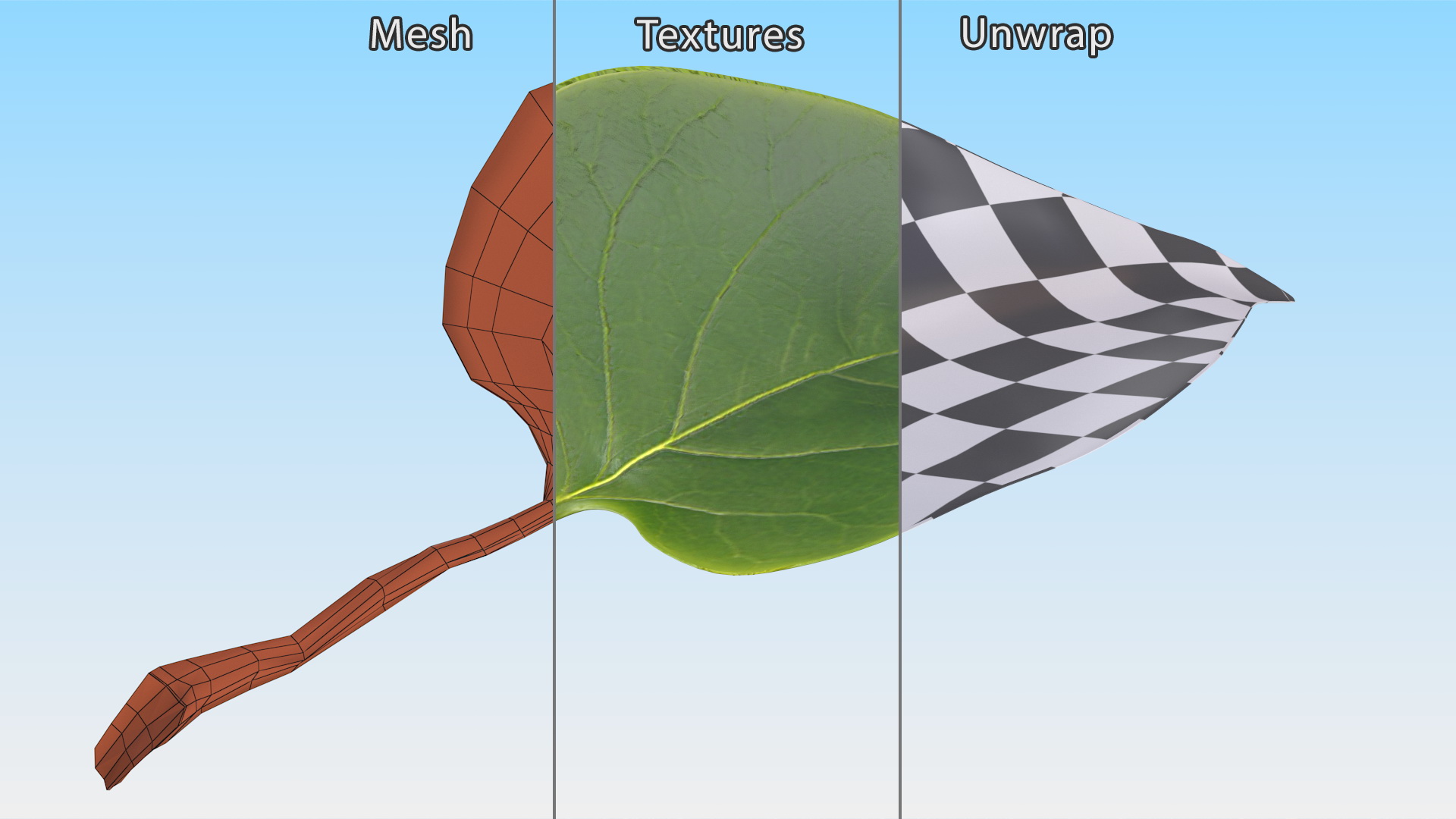 3D model Realistic Green Leaf