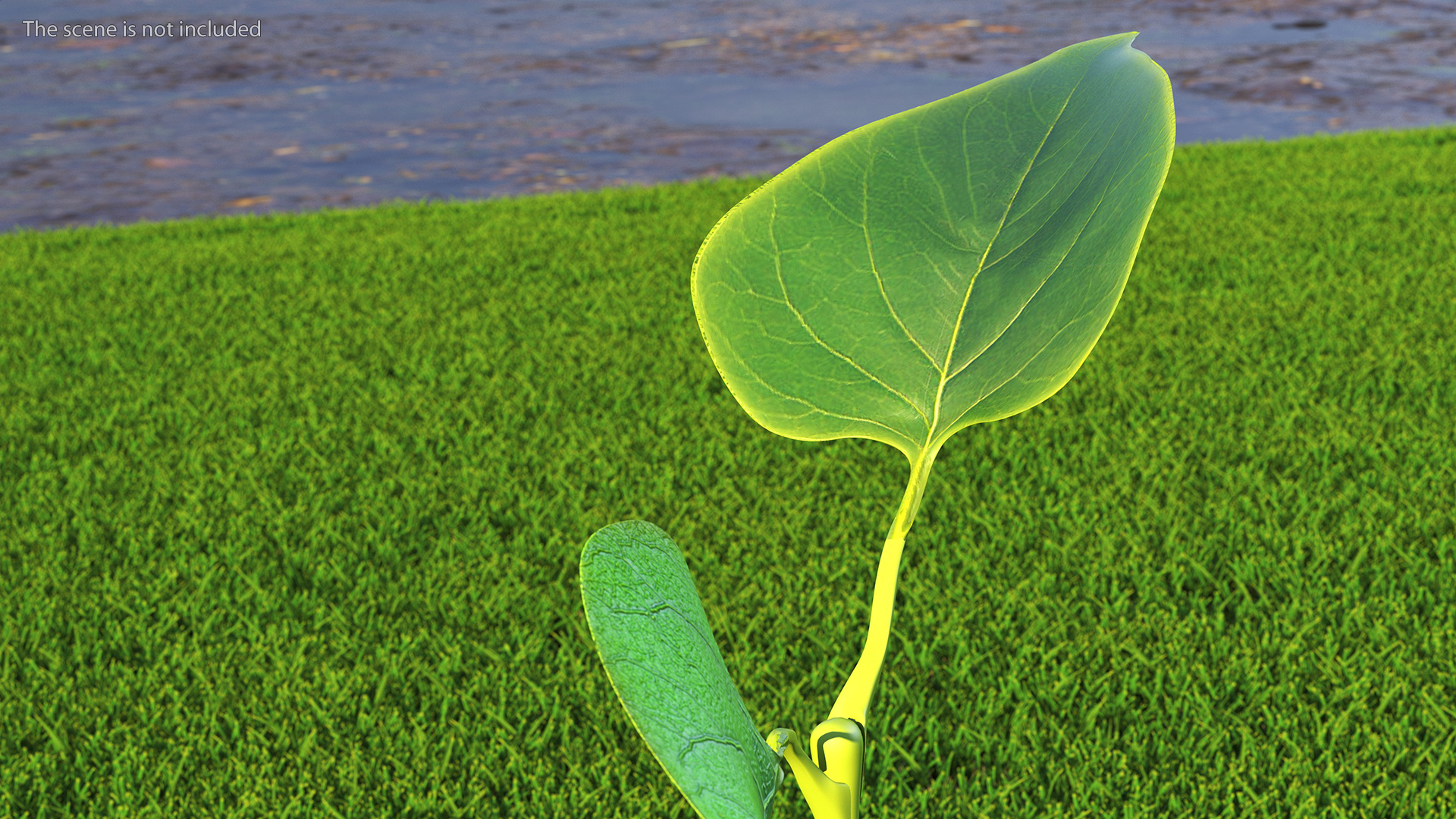 3D model Realistic Green Leaf