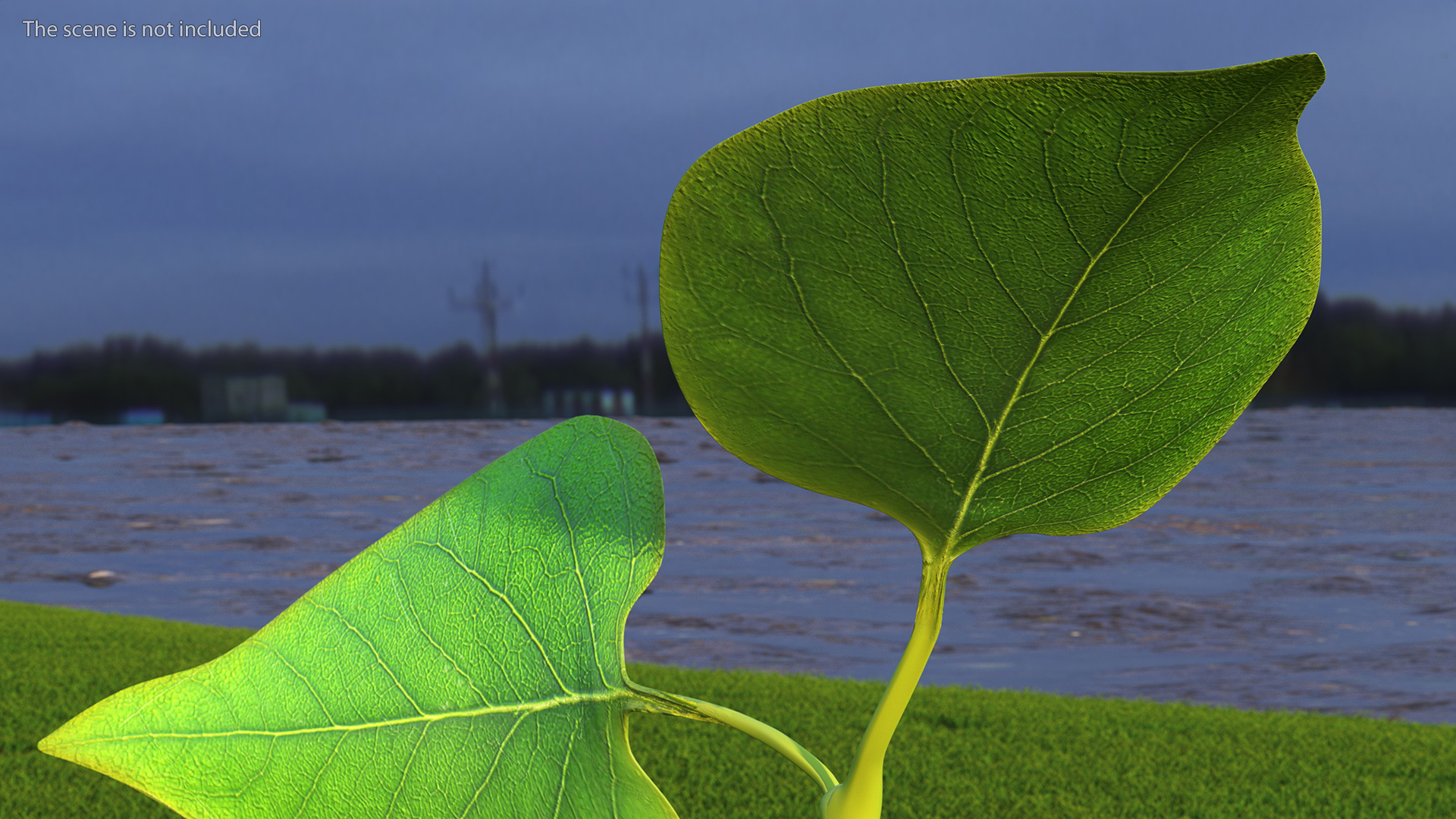 3D model Realistic Green Leaf