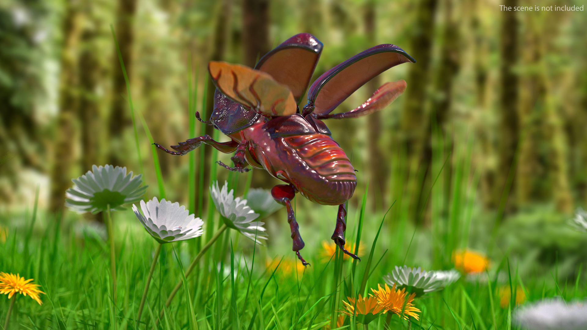 3D Rhinoceros Beetle Oryctes Nasicornis Flying model
