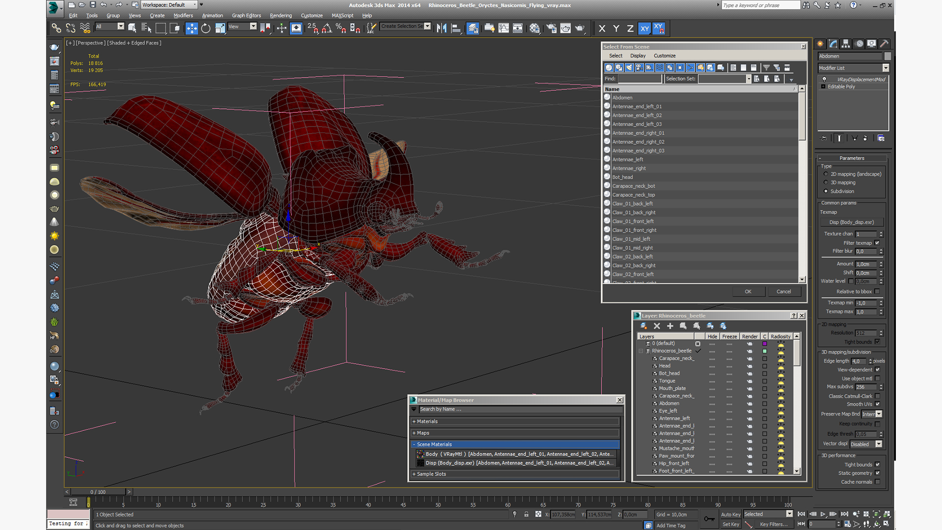 3D Rhinoceros Beetle Oryctes Nasicornis Flying model