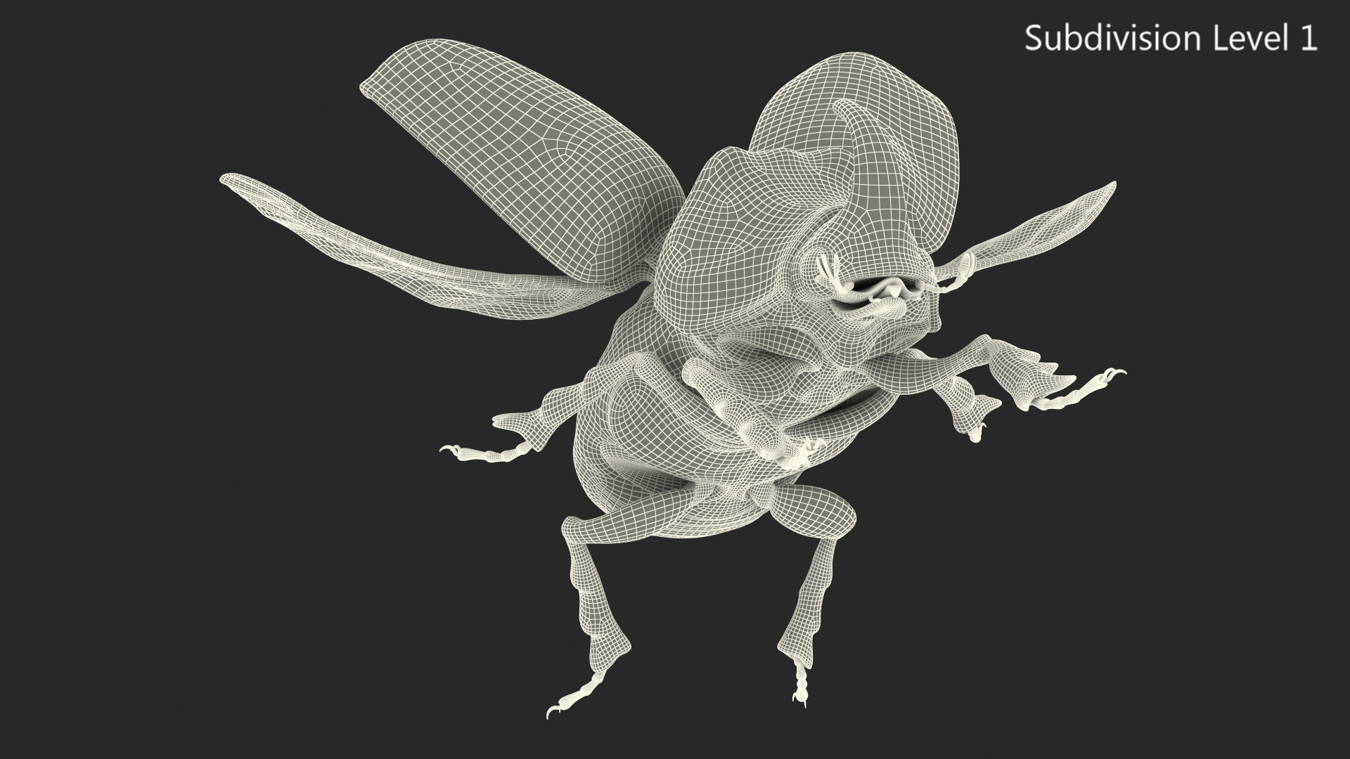 3D Rhinoceros Beetle Oryctes Nasicornis Flying model