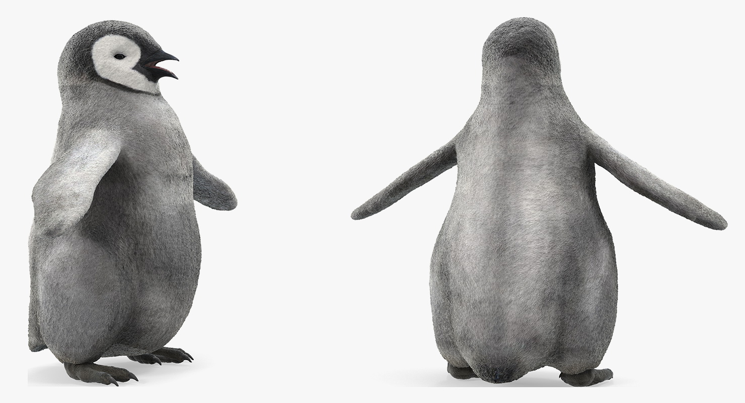 Baby Emperor Penguin T-Pose 3D