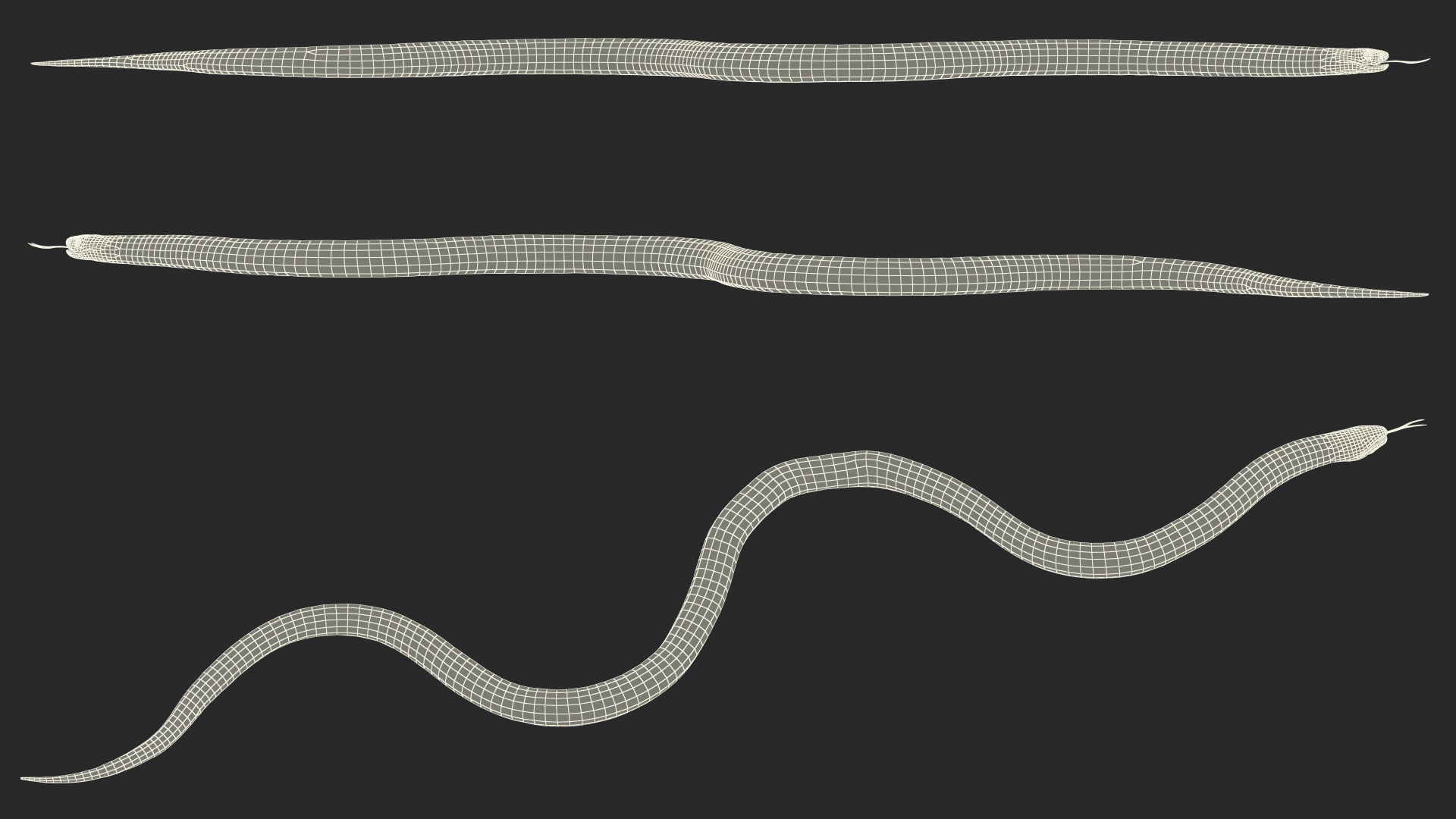 3D model California Kingsnake
