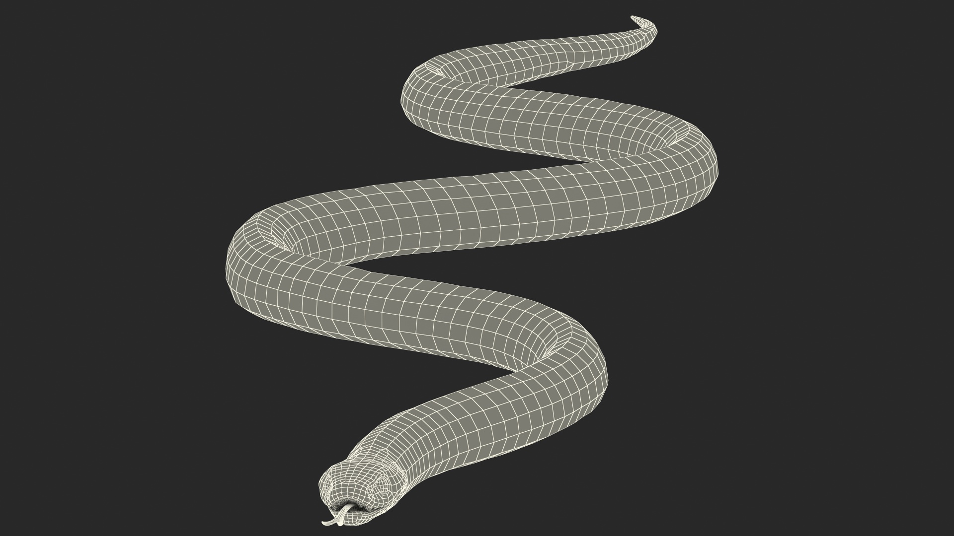 3D model California Kingsnake