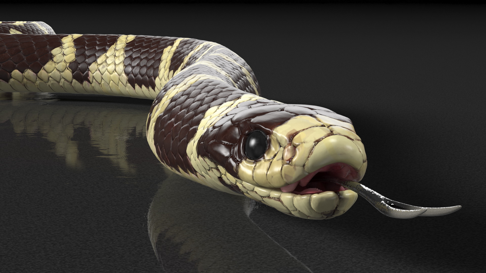 3D model California Kingsnake