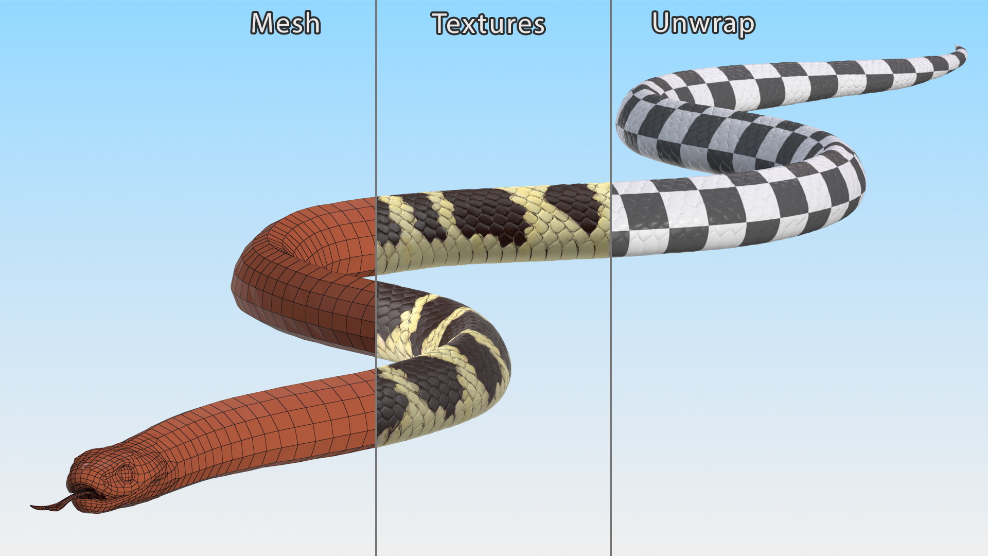 3D model California Kingsnake