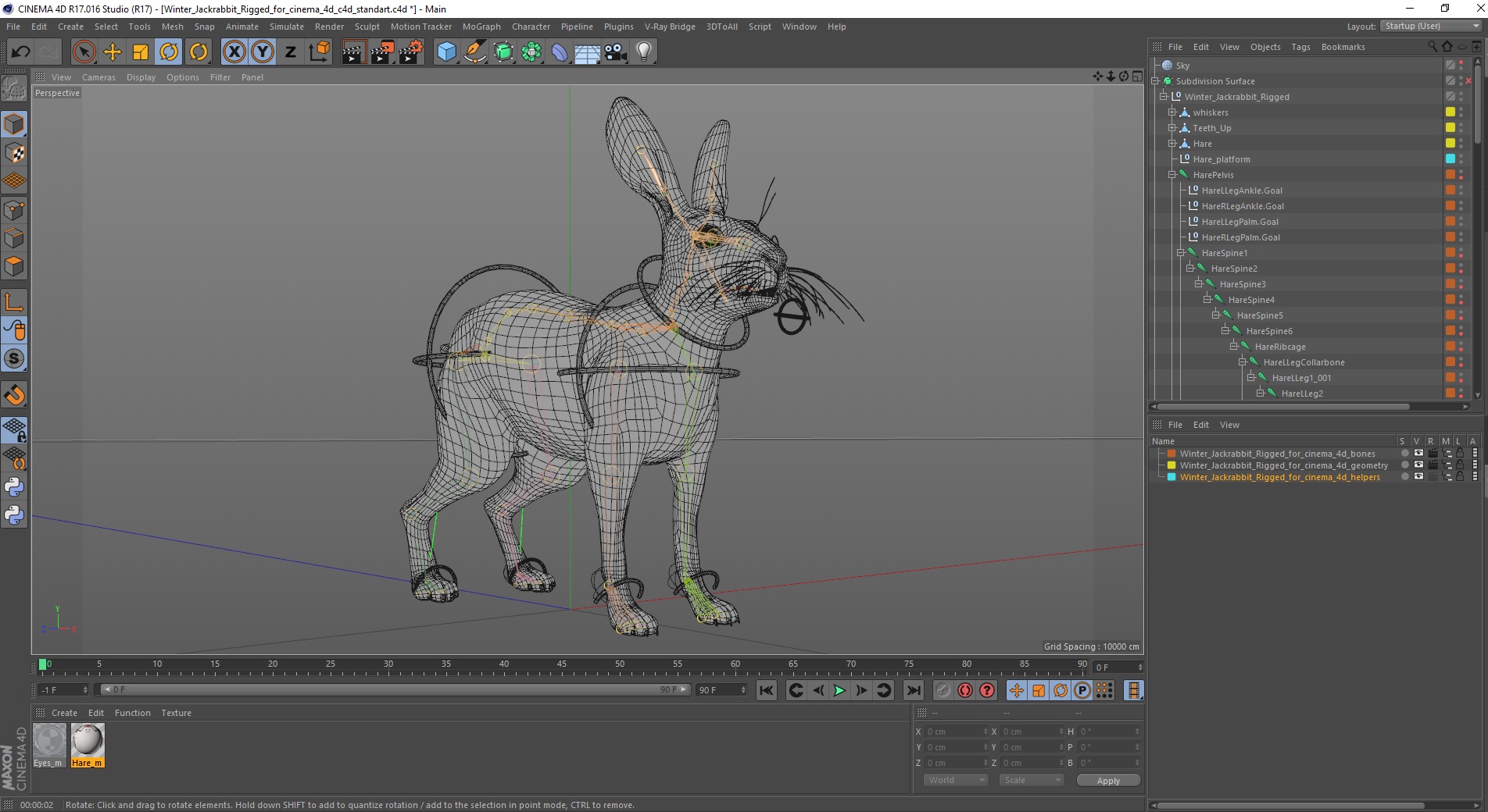3D Winter Jackrabbit Rigged for Cinema 4D model