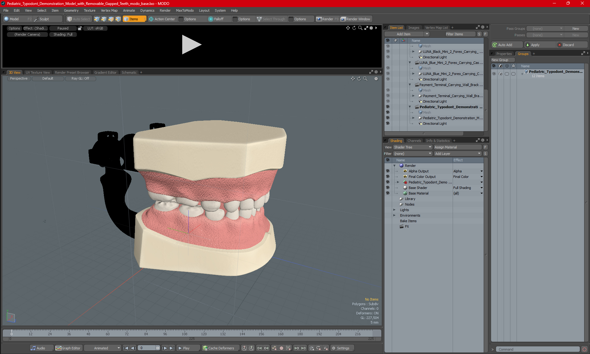 3D Pediatric Typodont Demonstration Model with Removable Gapped Teeth