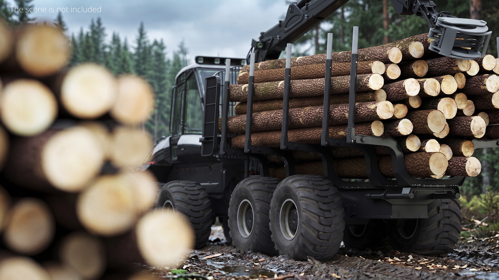 Timber Forwarding Machine with Crane and Logs, view 2