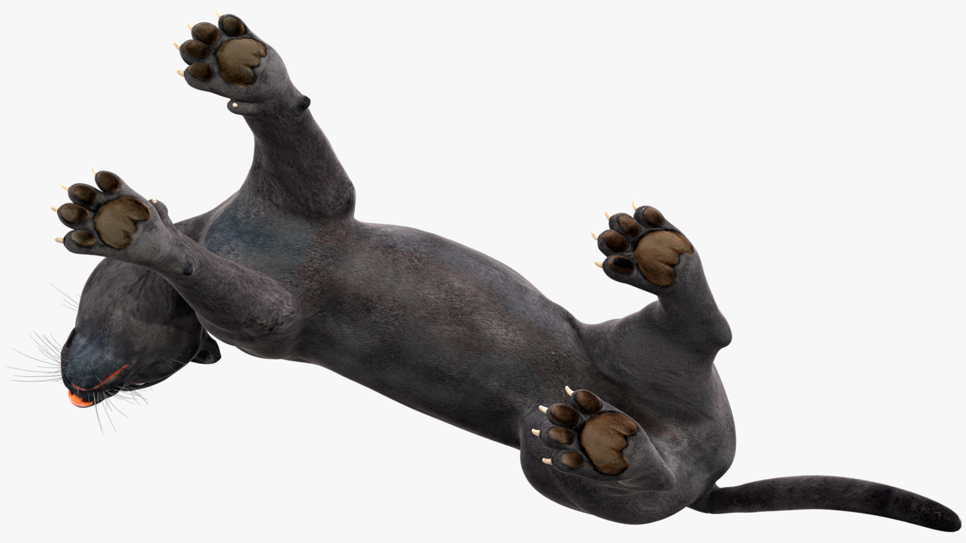Black Panther Stand Pose 3D model