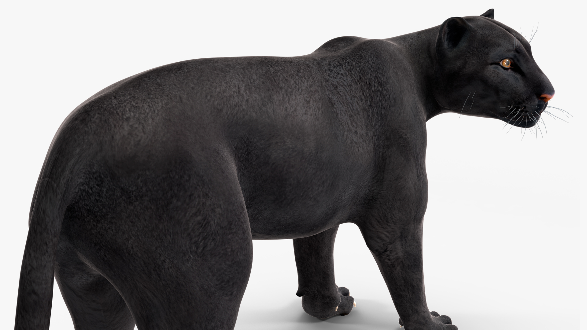 Black Panther Stand Pose 3D model
