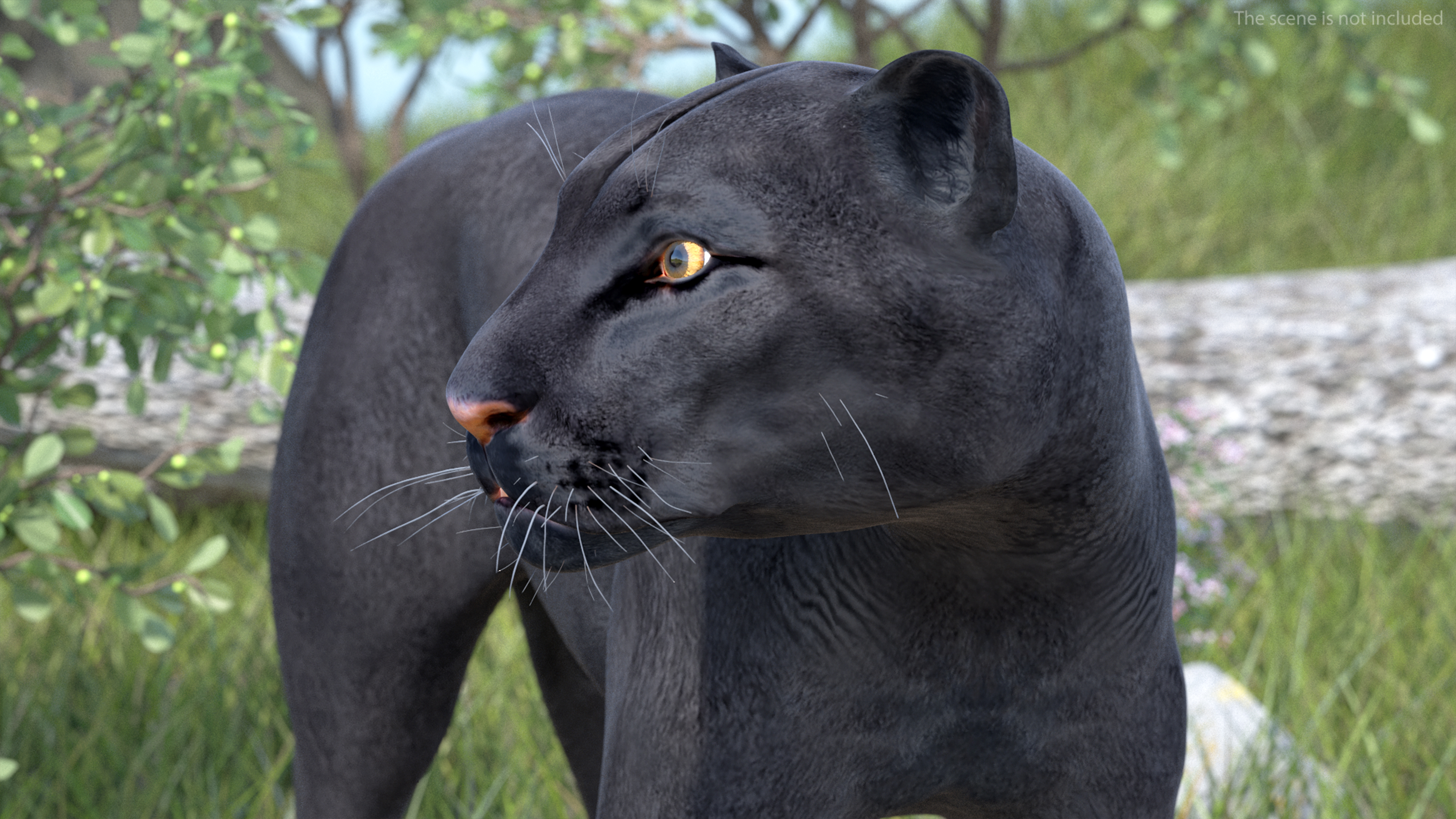 Black Panther Stand Pose 3D model