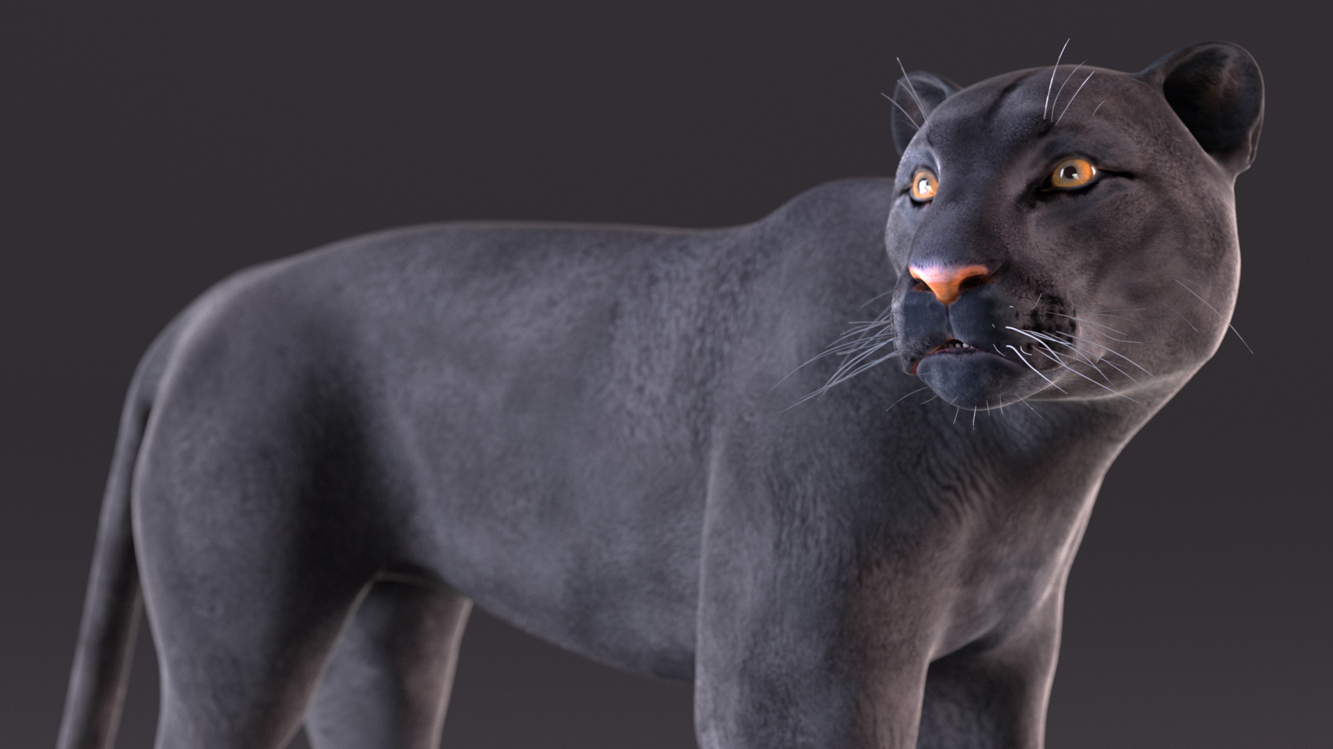 Black Panther Stand Pose 3D model