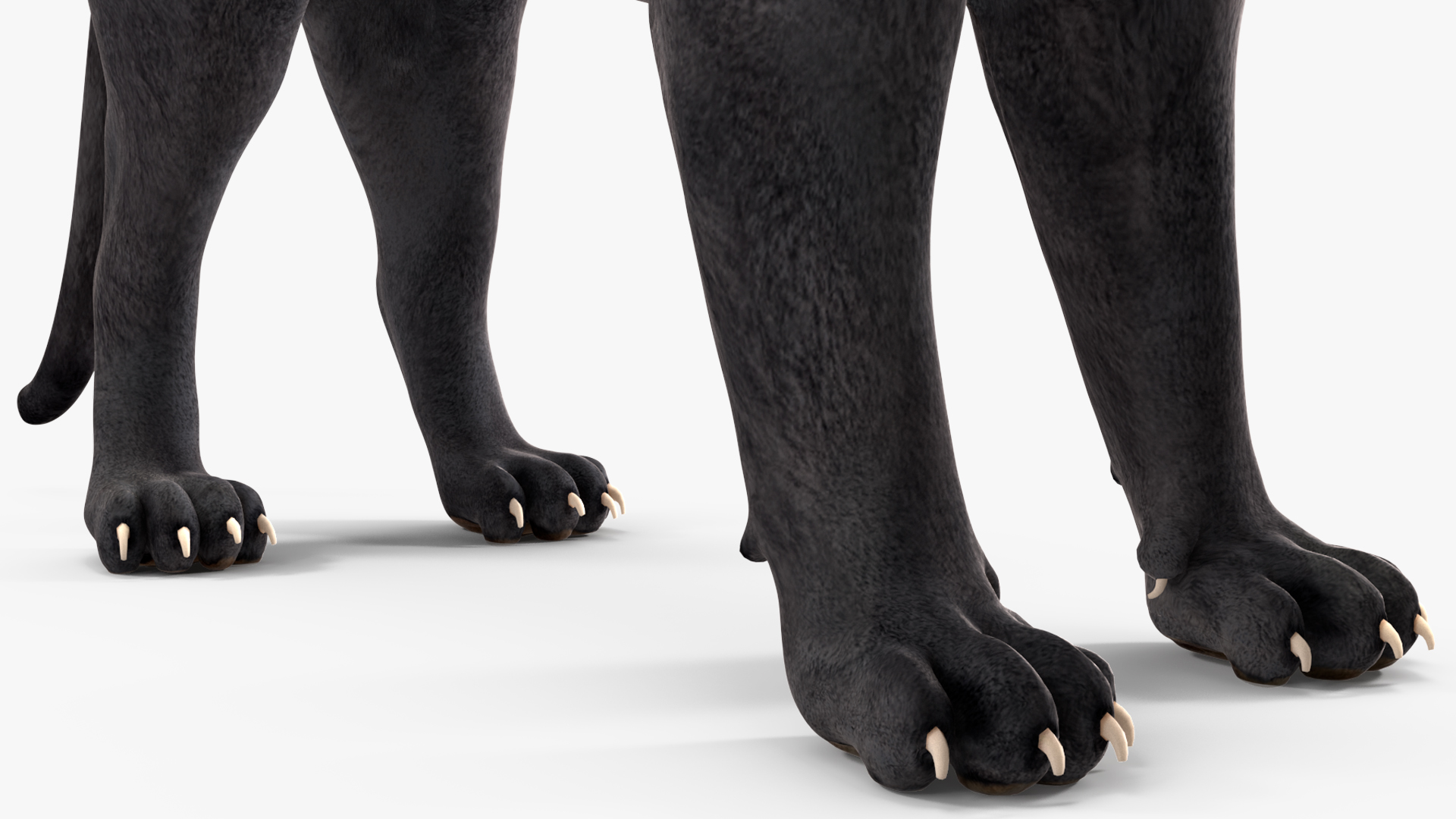 Black Panther Stand Pose 3D model