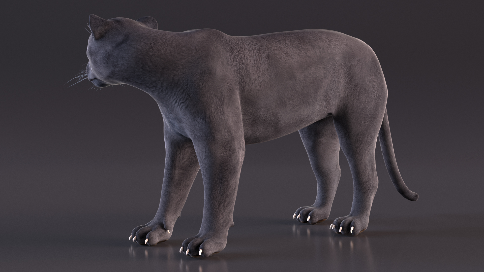 Black Panther Stand Pose 3D model