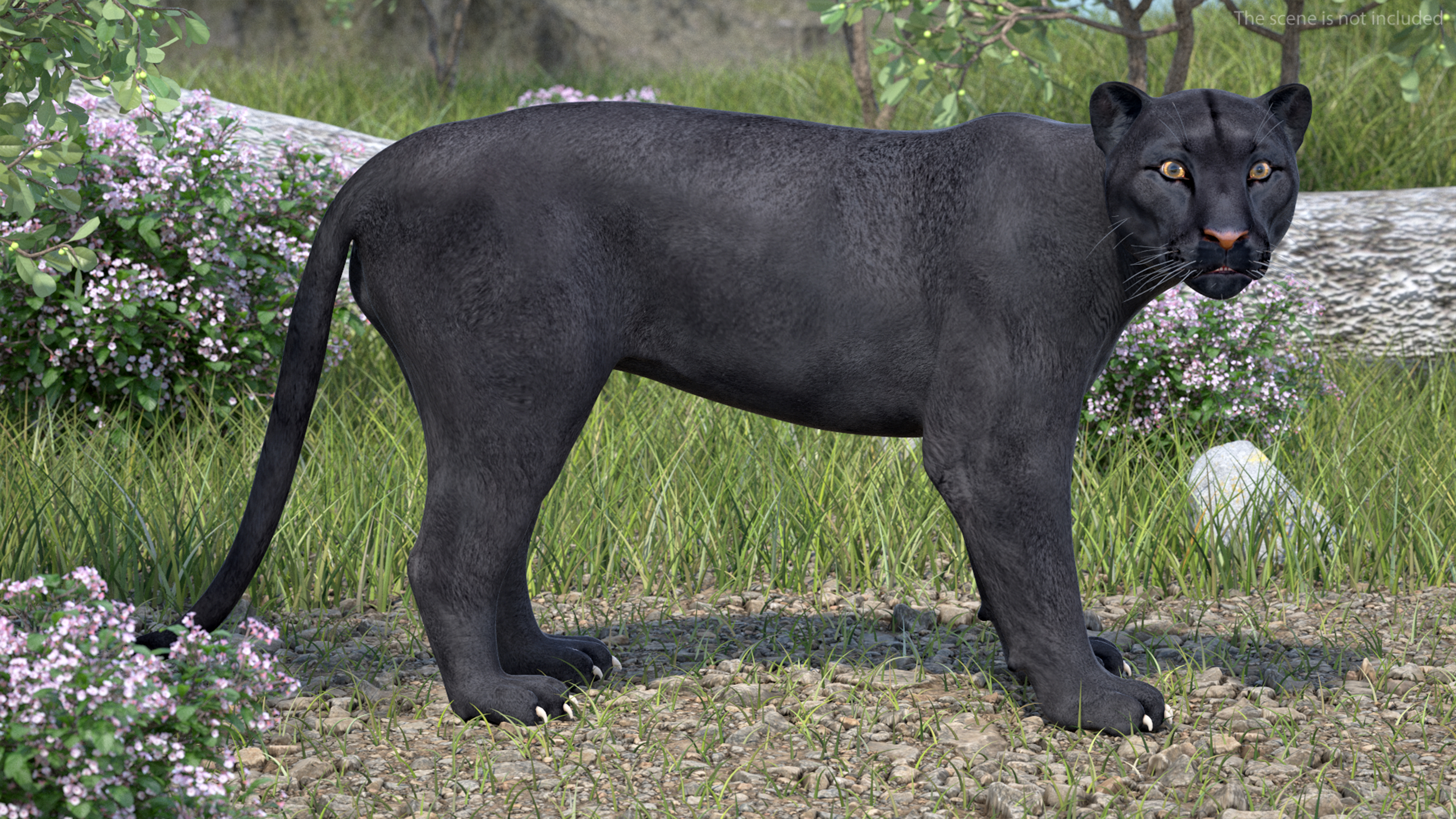 Black Panther Stand Pose 3D model
