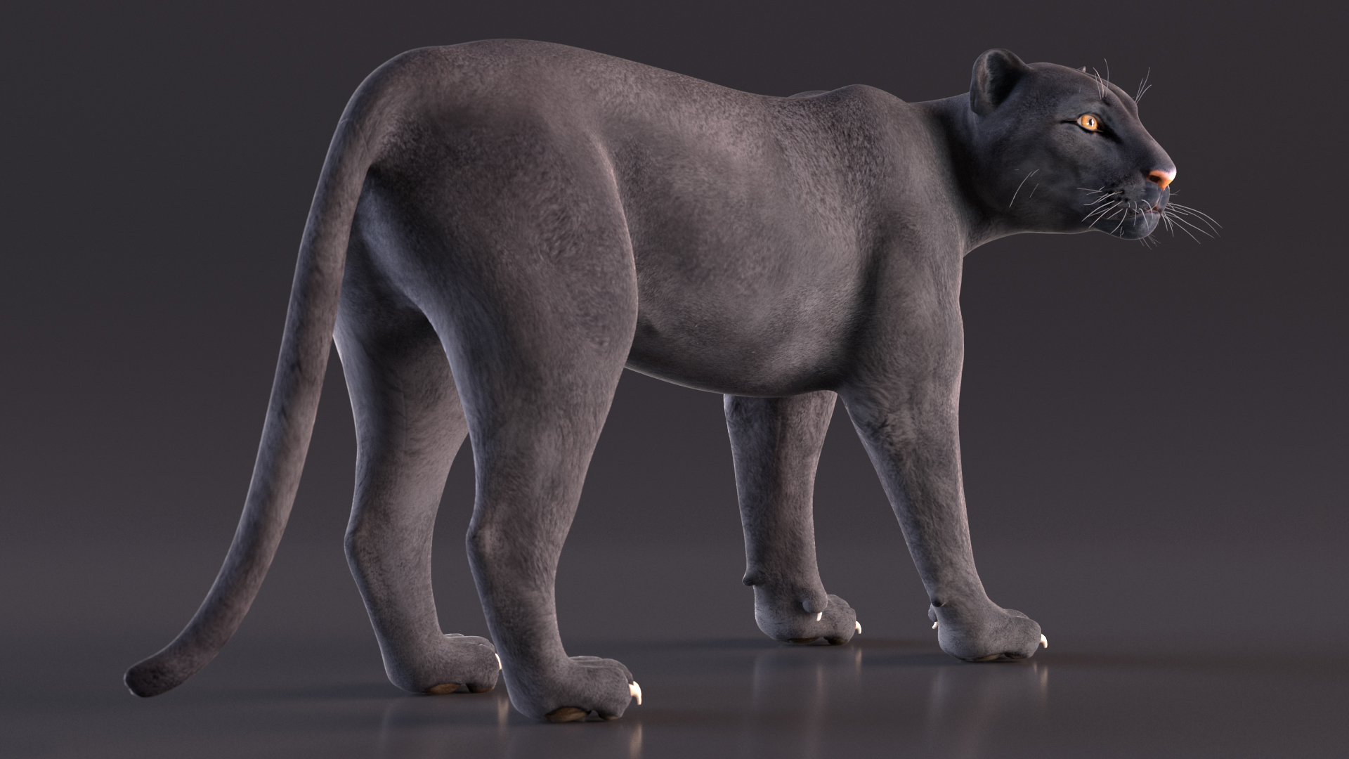 Black Panther Stand Pose 3D model