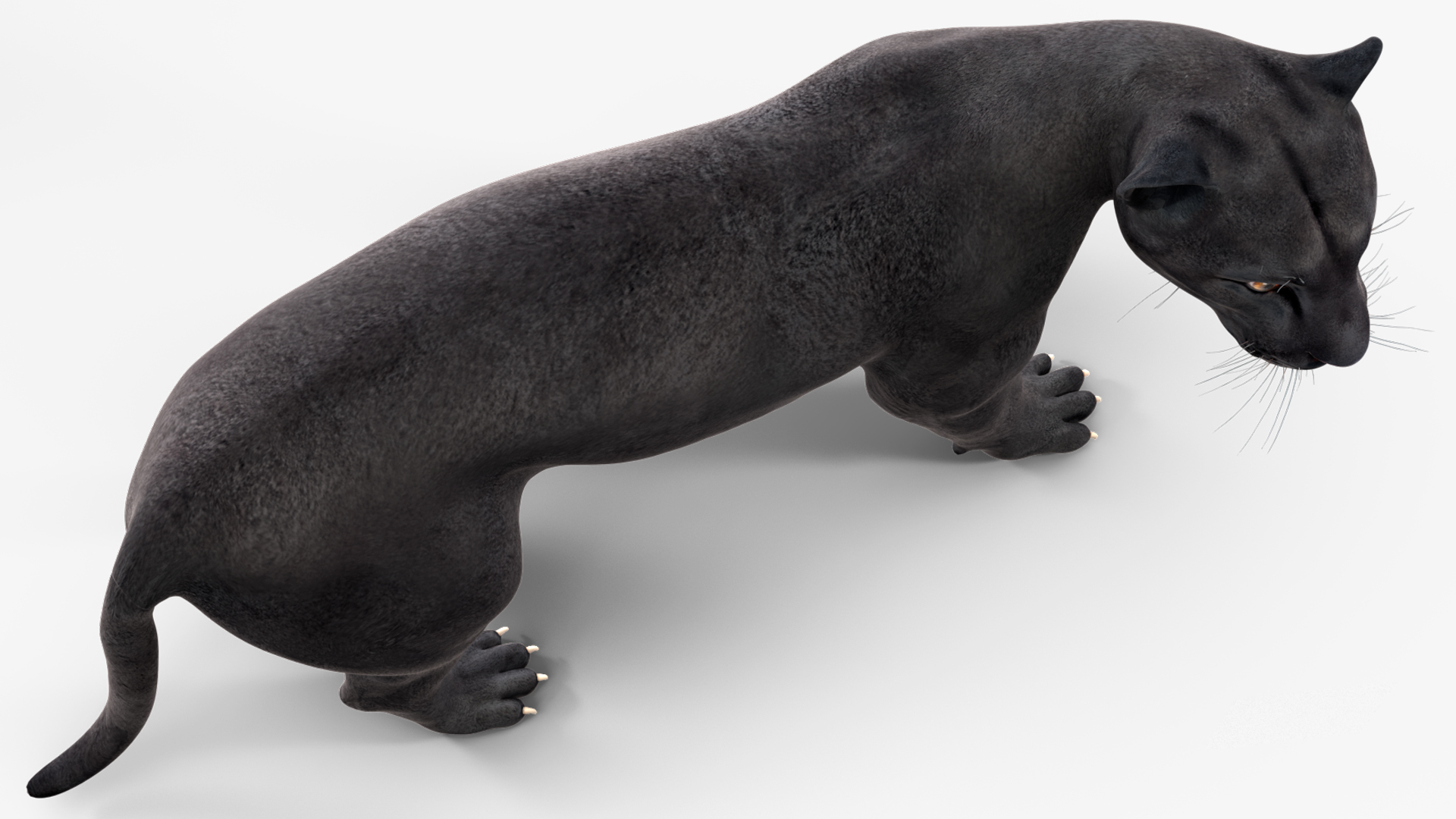 Black Panther Stand Pose 3D model