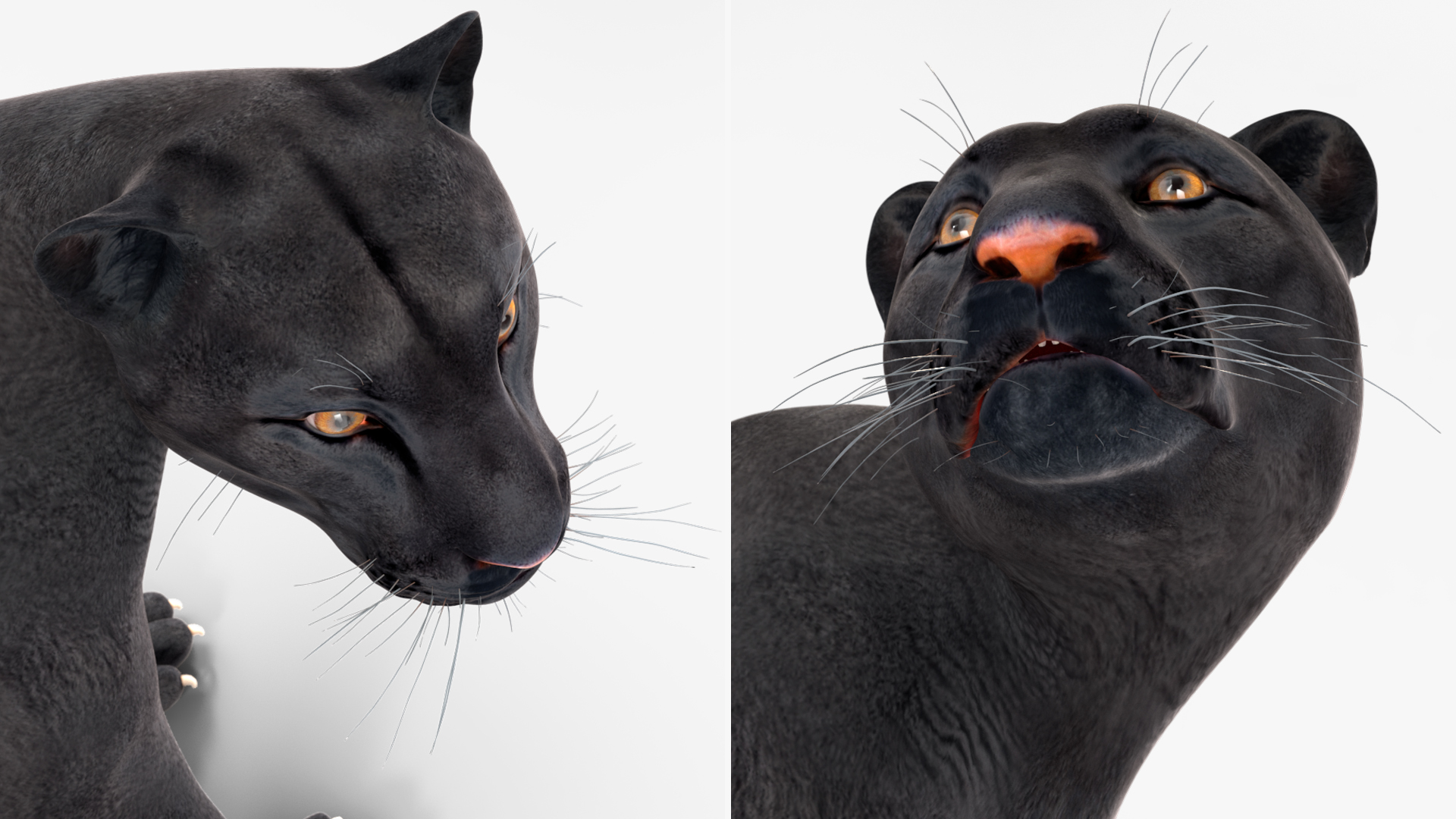Black Panther Stand Pose 3D model