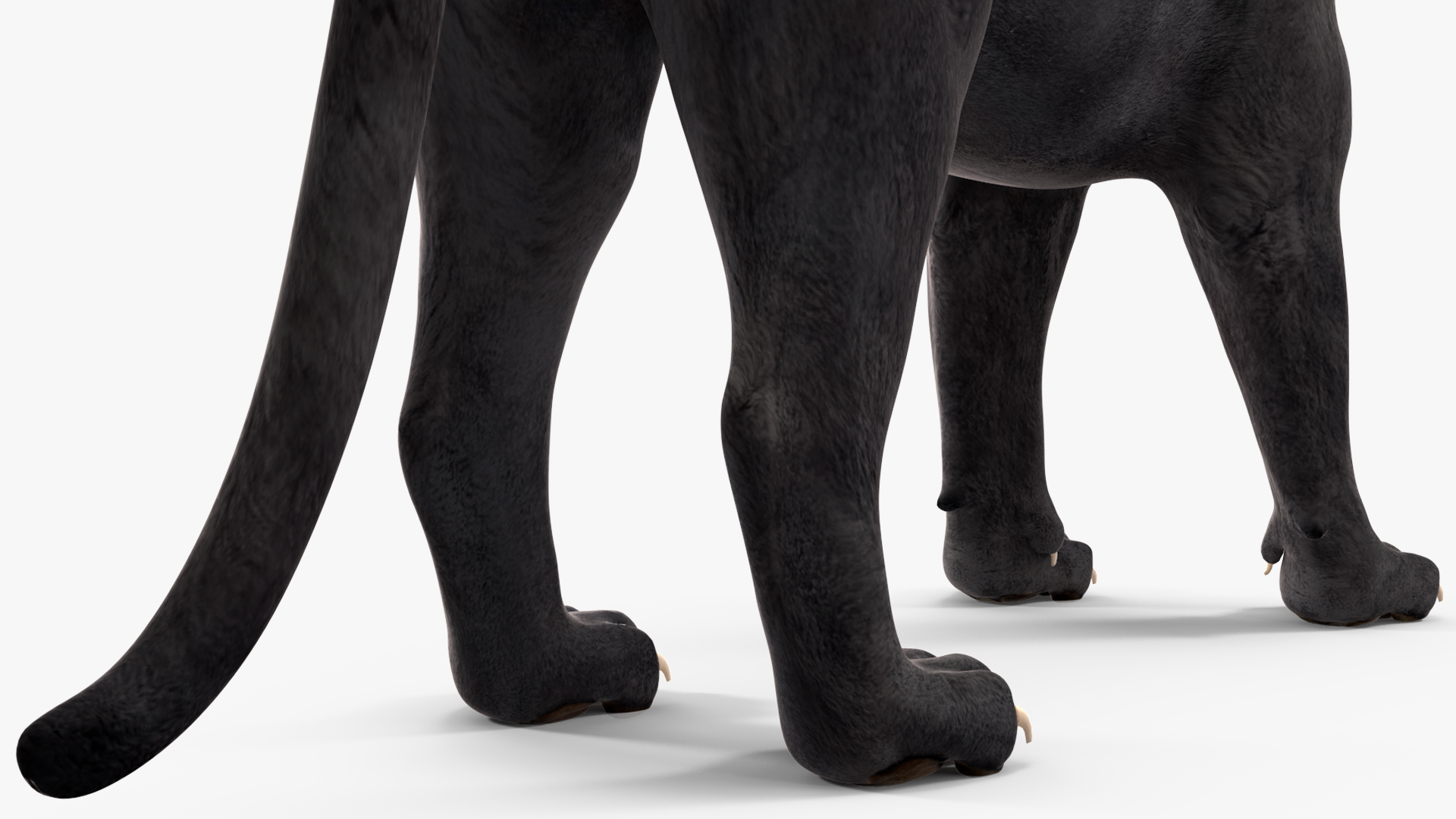 Black Panther Stand Pose 3D model