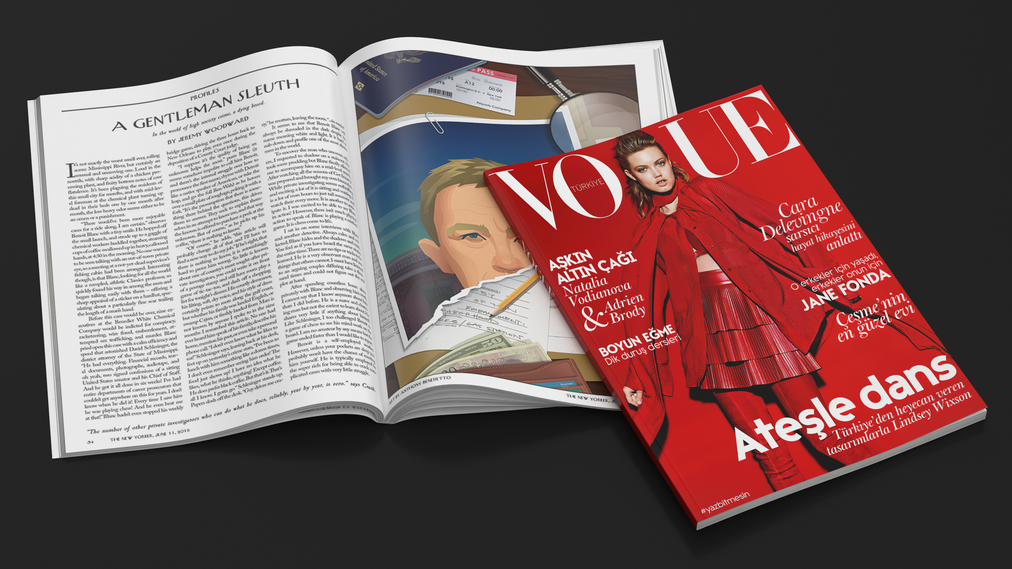 3D model Vogue and New Yorker Magazines