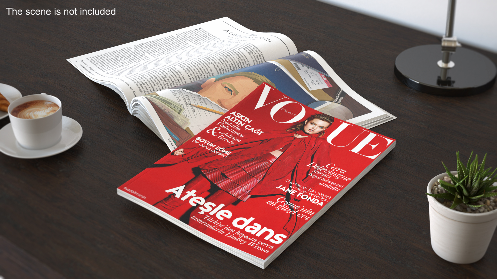 3D model Vogue and New Yorker Magazines