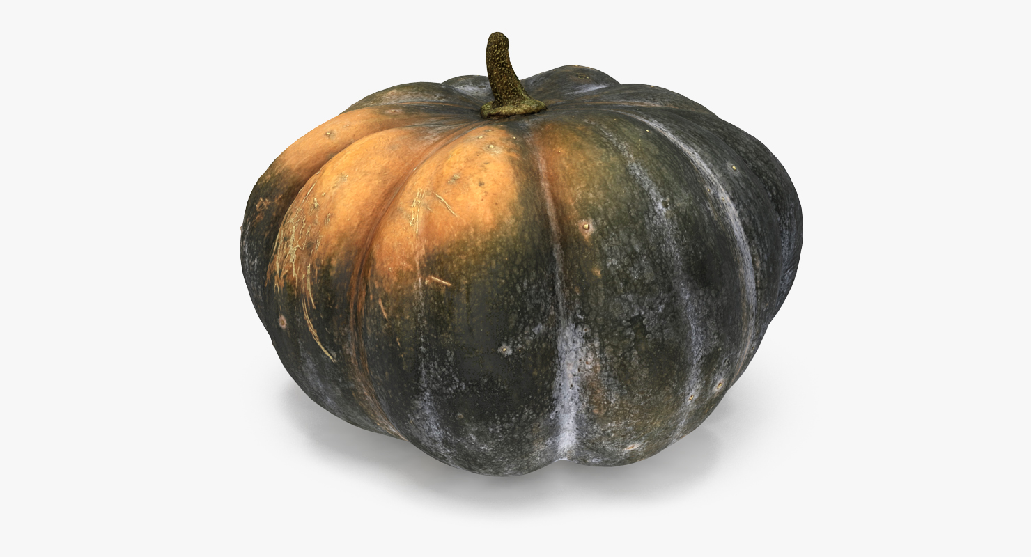 3D Green Pumpkin model