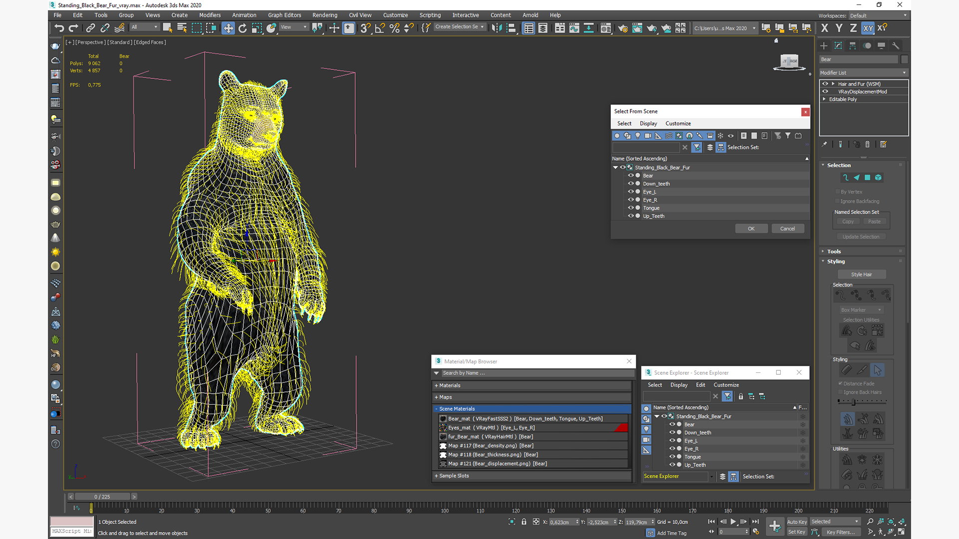 3D Standing Black Bear Fur model