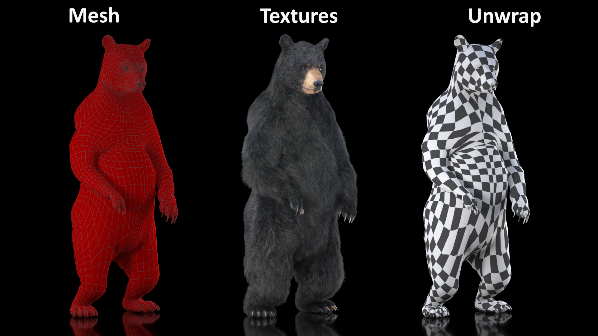3D Standing Black Bear Fur model