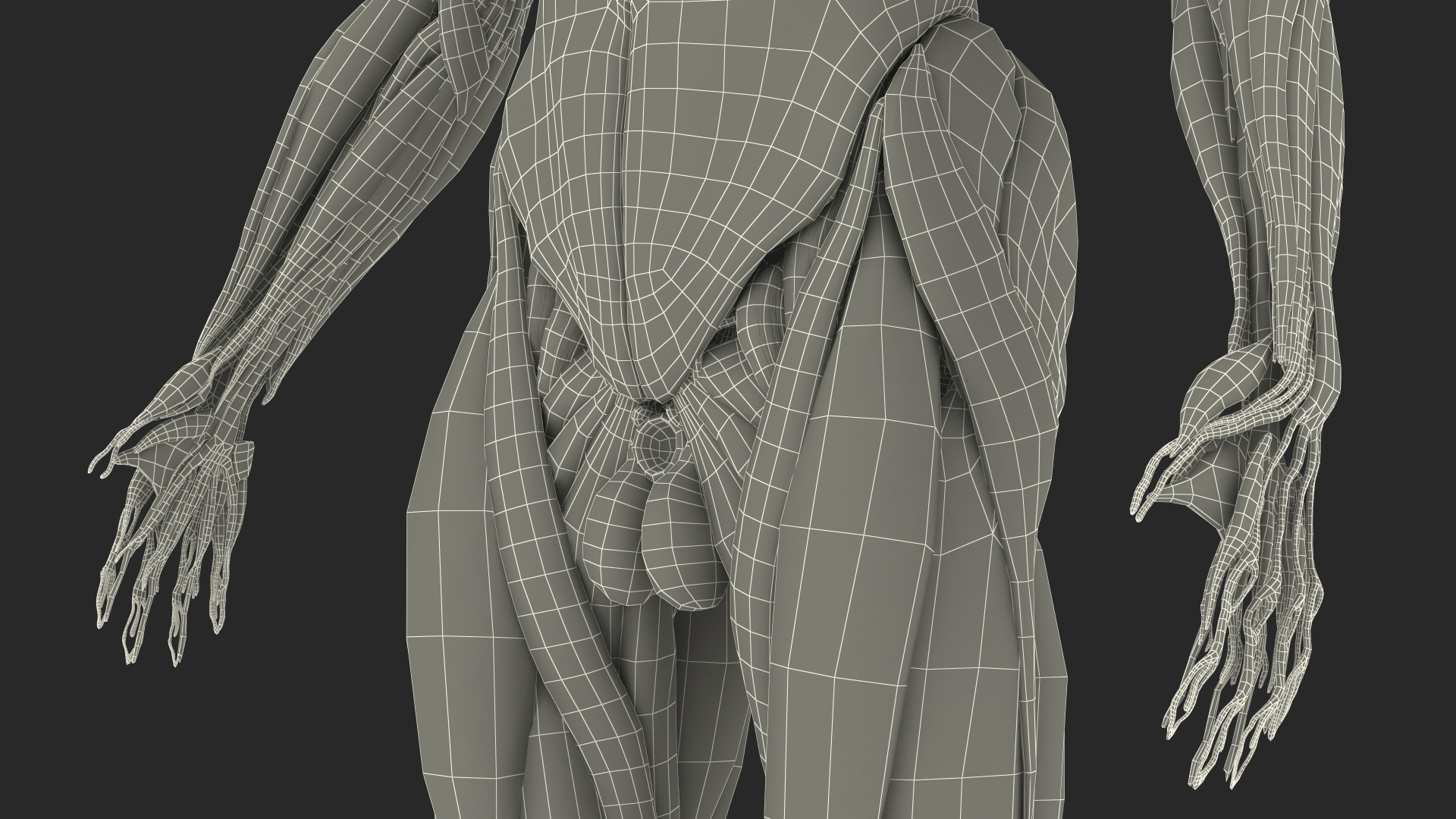 3D model Male Muscular System Full Body