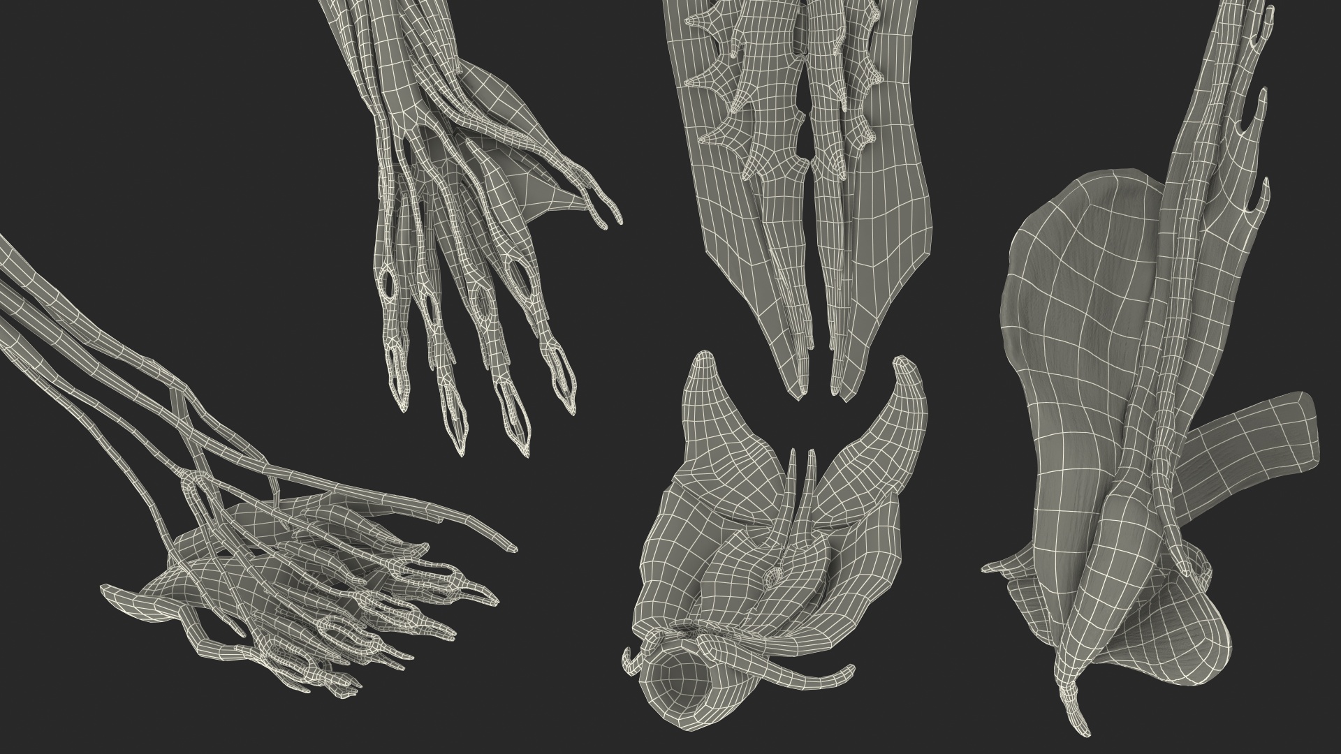 3D model Male Muscular System Full Body