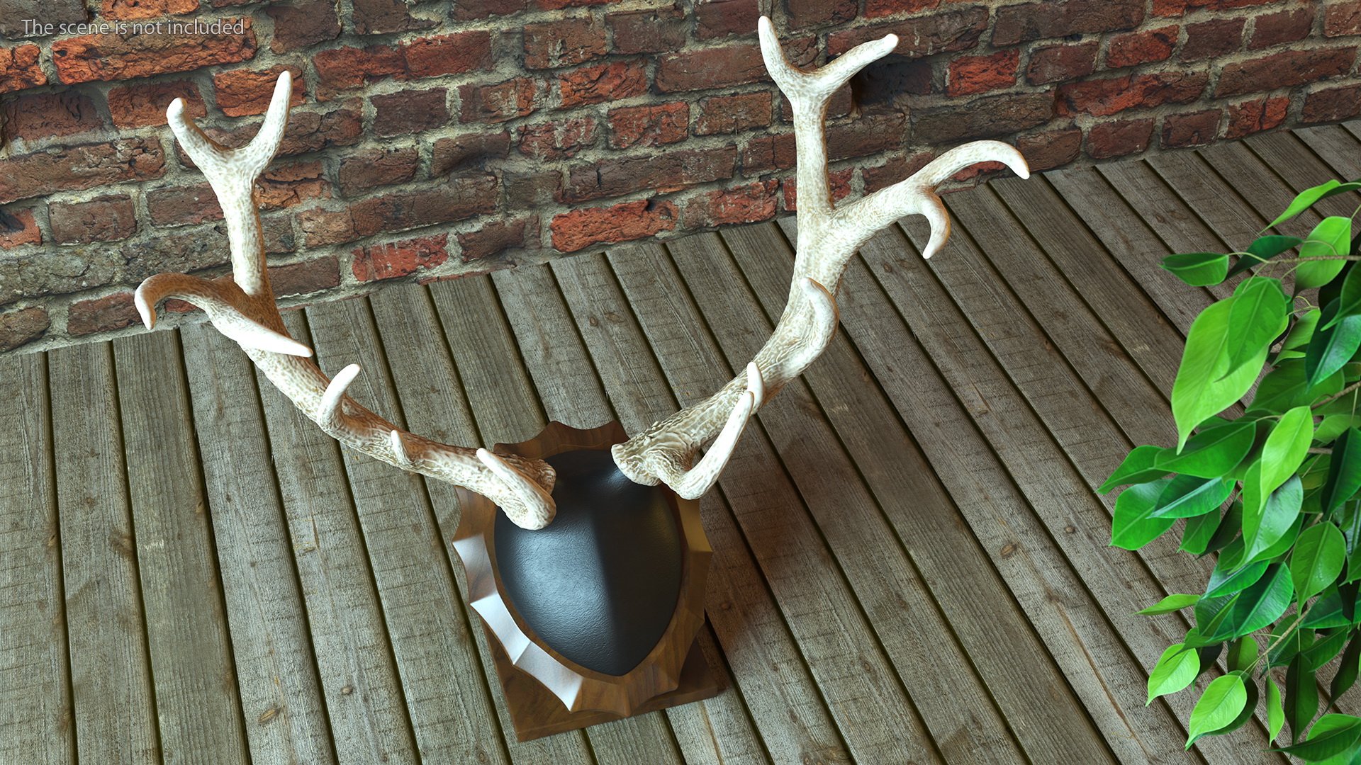 3D model Red Deer Stag Antlers on a Pedestal