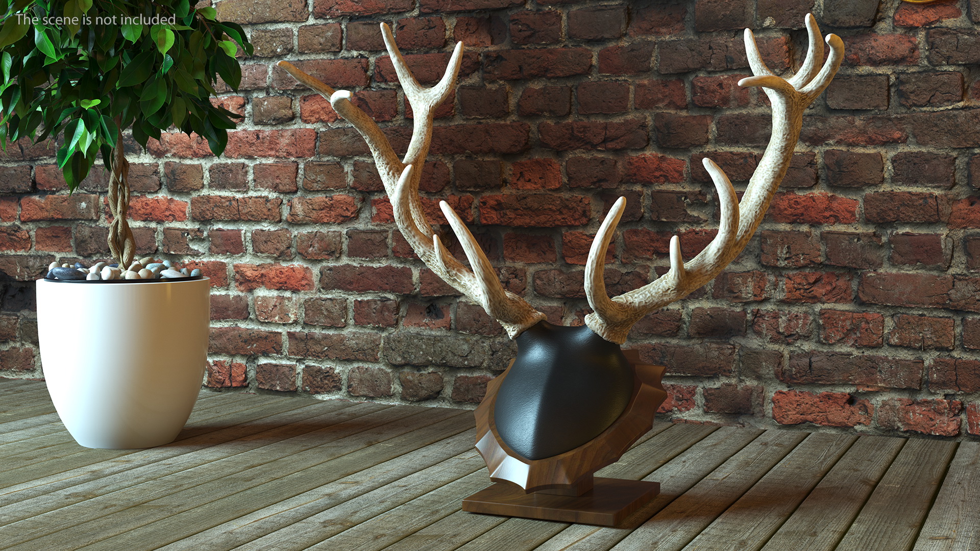 3D model Red Deer Stag Antlers on a Pedestal