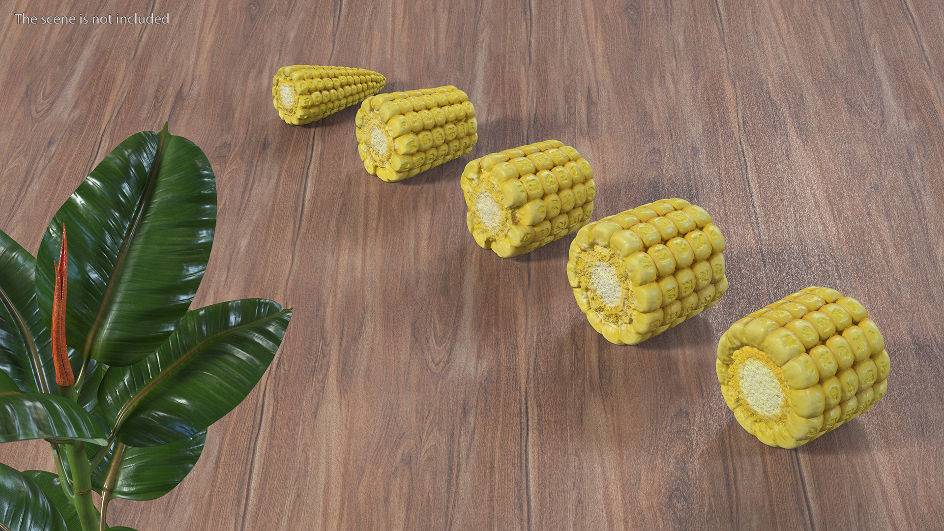 3D Sliced Baby Corn