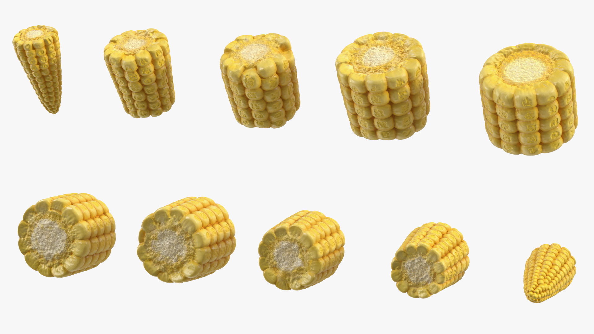 3D Sliced Baby Corn